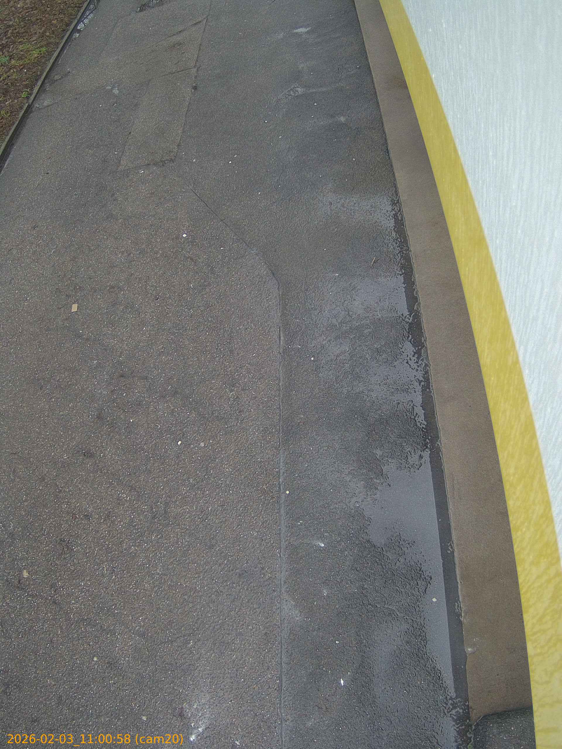 thumbnail_202602031100