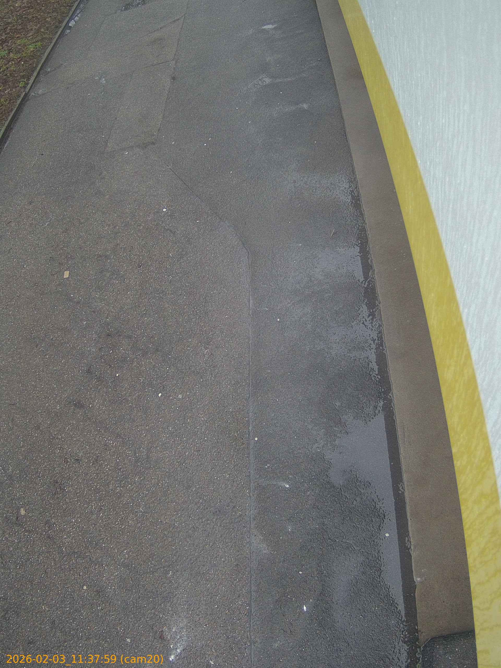 thumbnail_202602031137