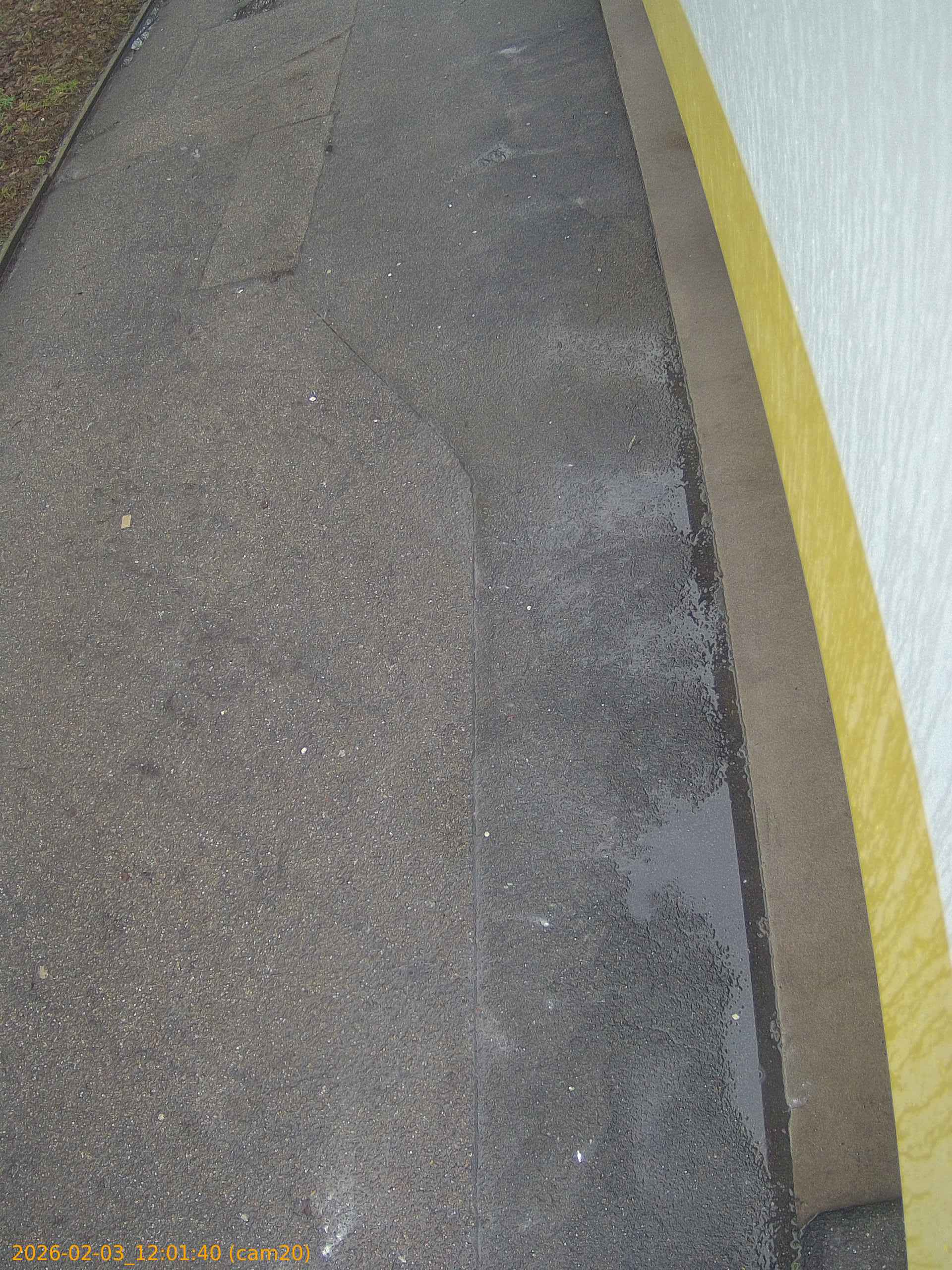 thumbnail_20260203120140