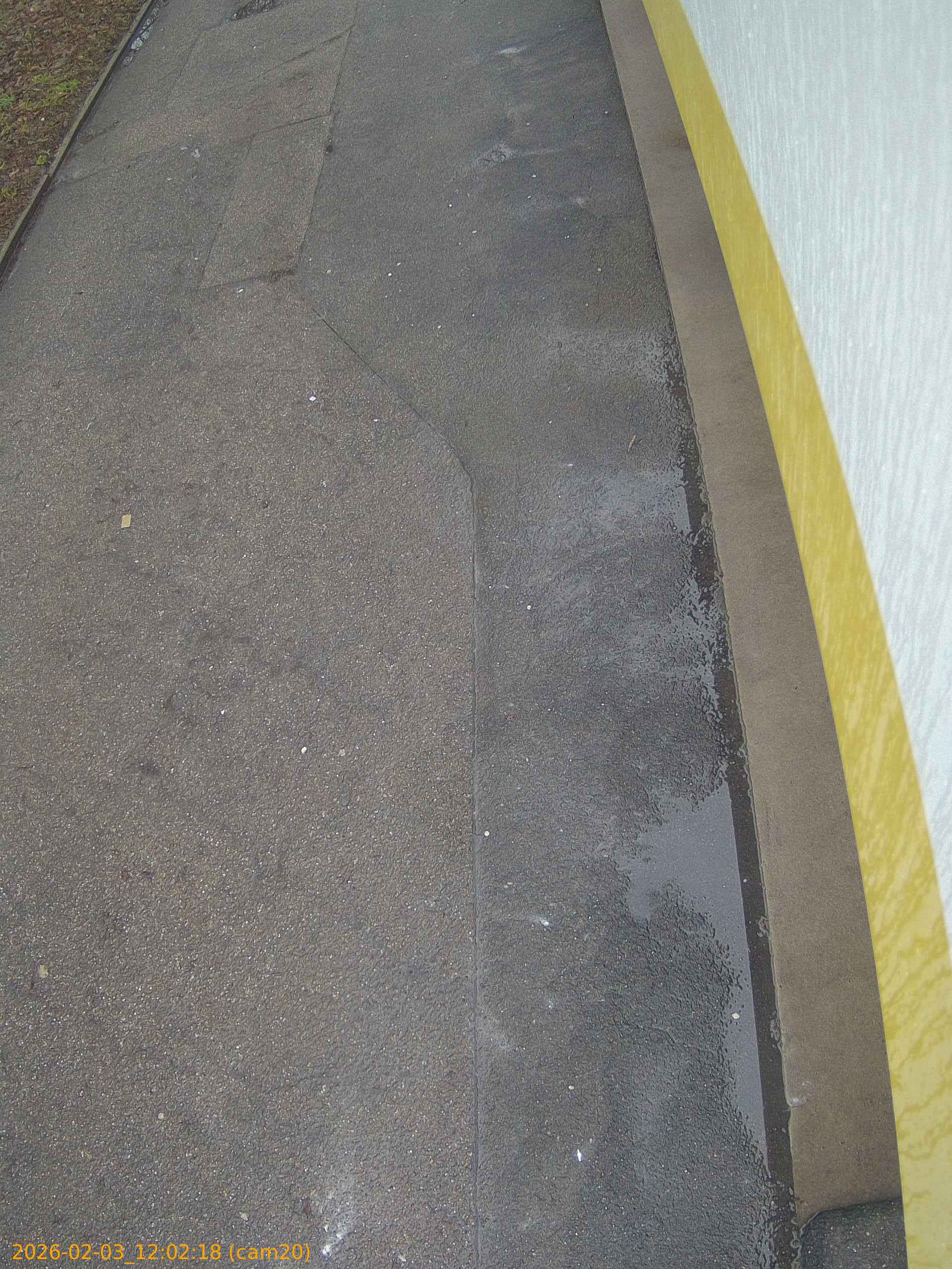 thumbnail_20260203120218