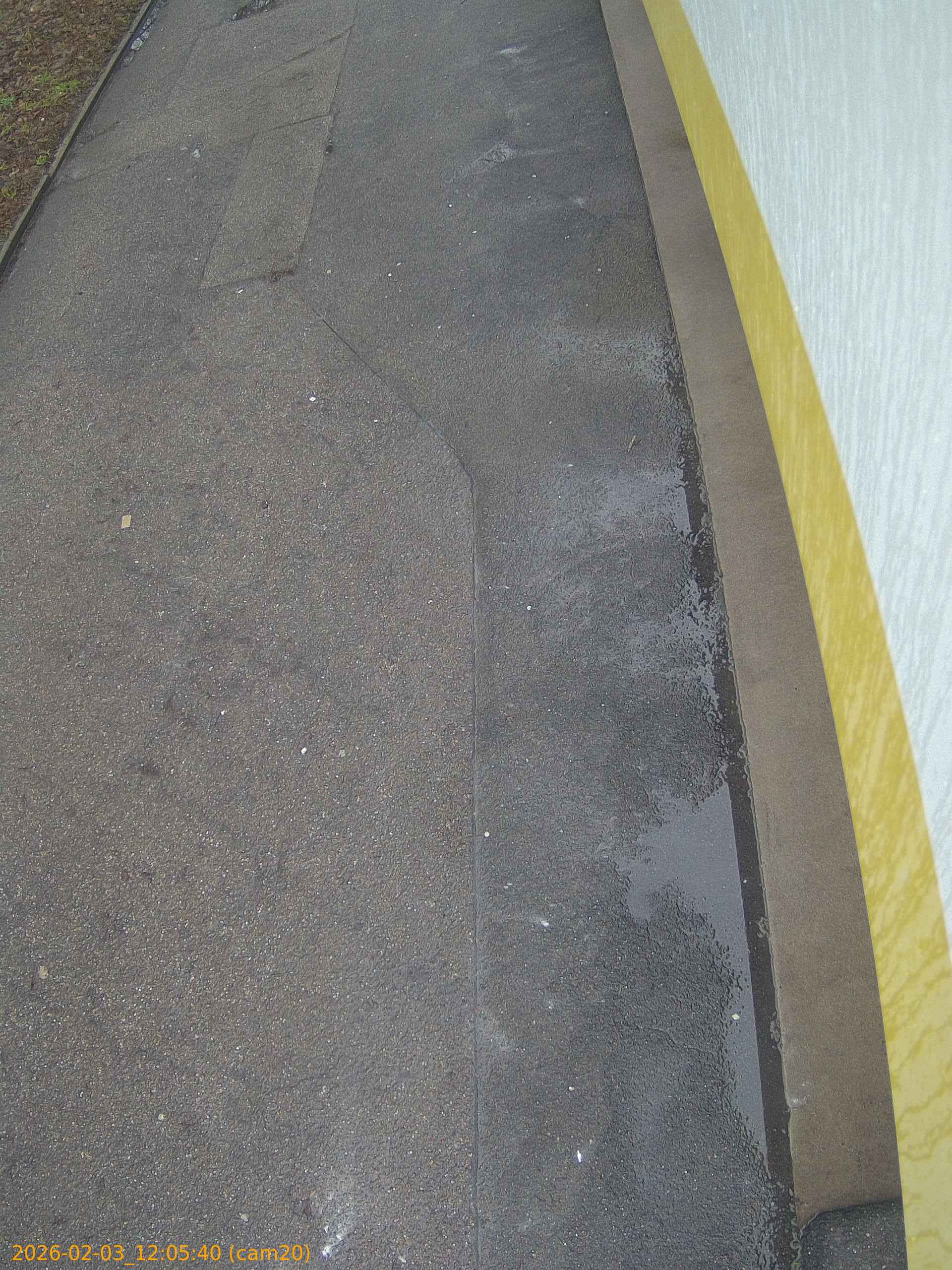 thumbnail_20260203120540