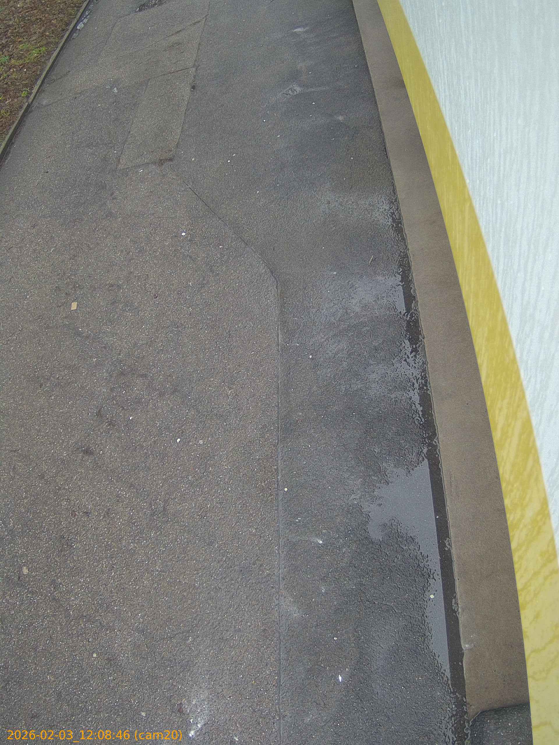 thumbnail_20260203120846