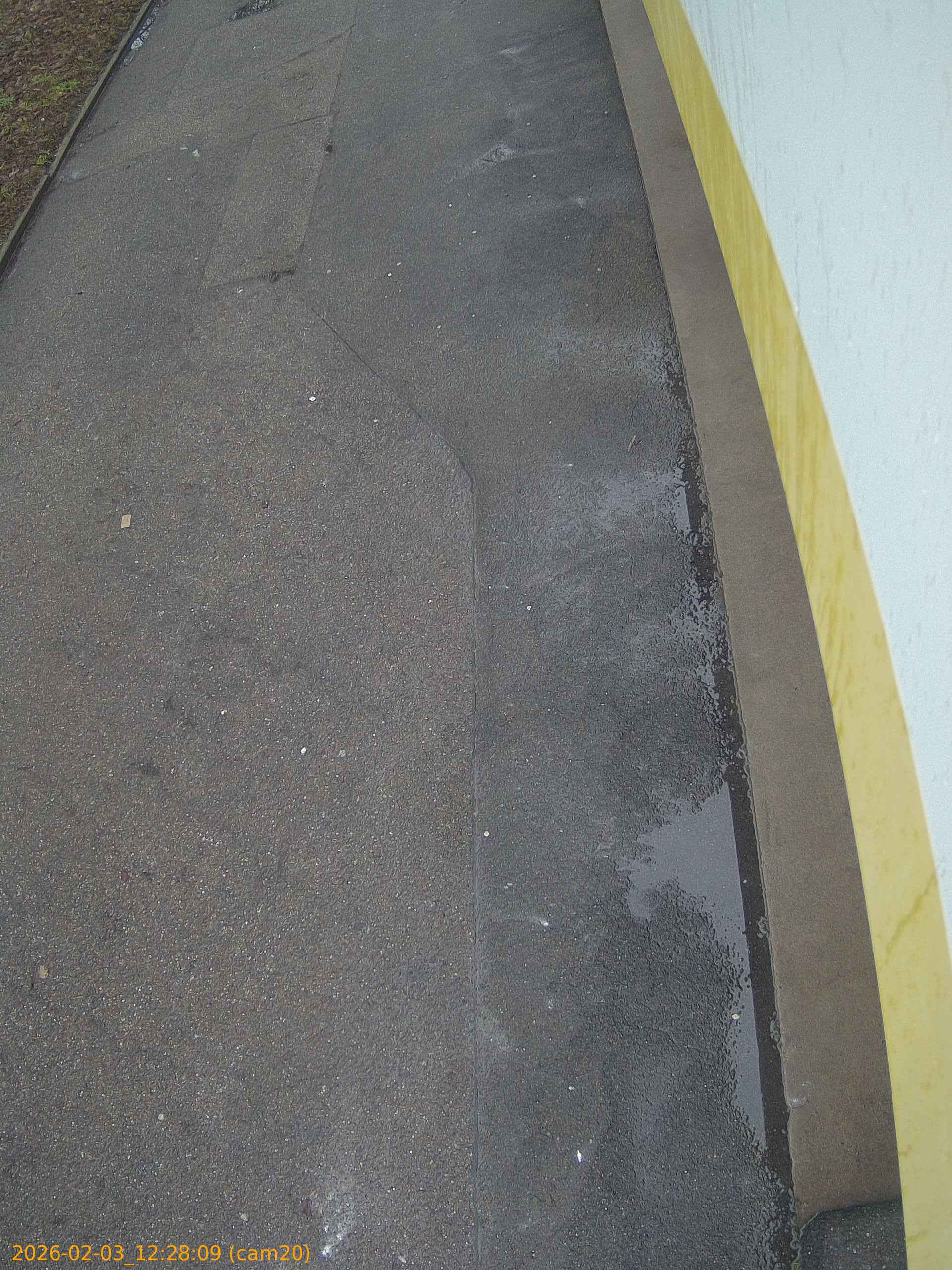 thumbnail_20260203122809