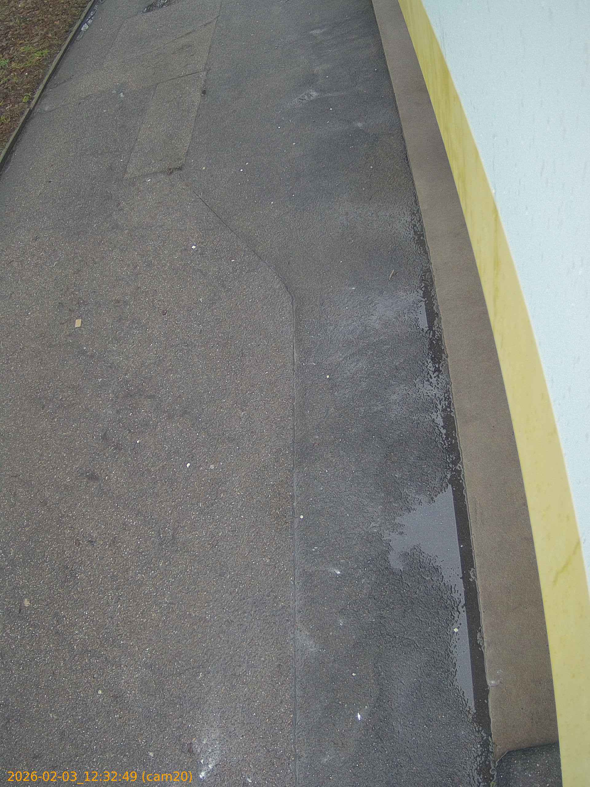 thumbnail_20260203123249