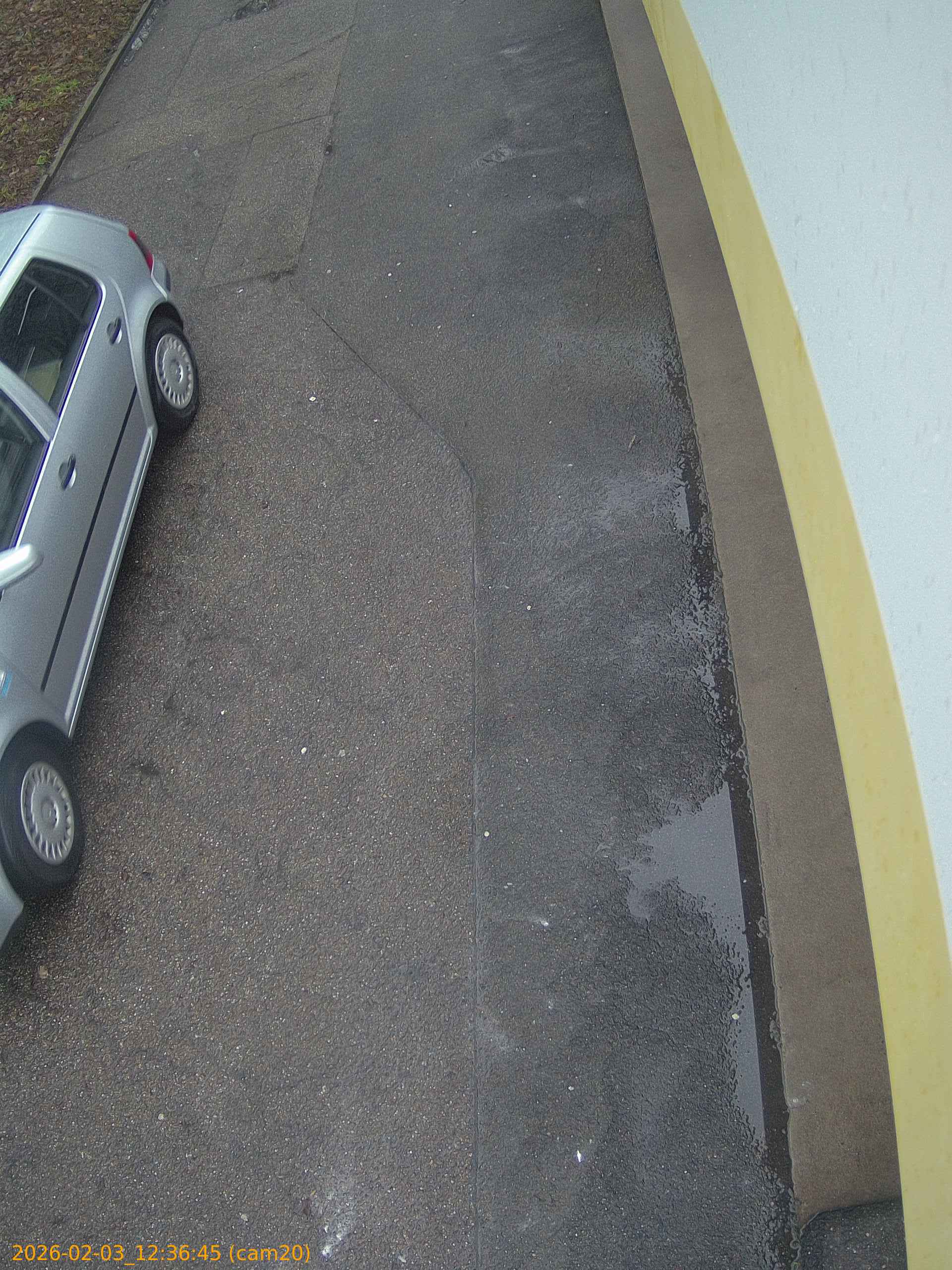 thumbnail_20260203123645