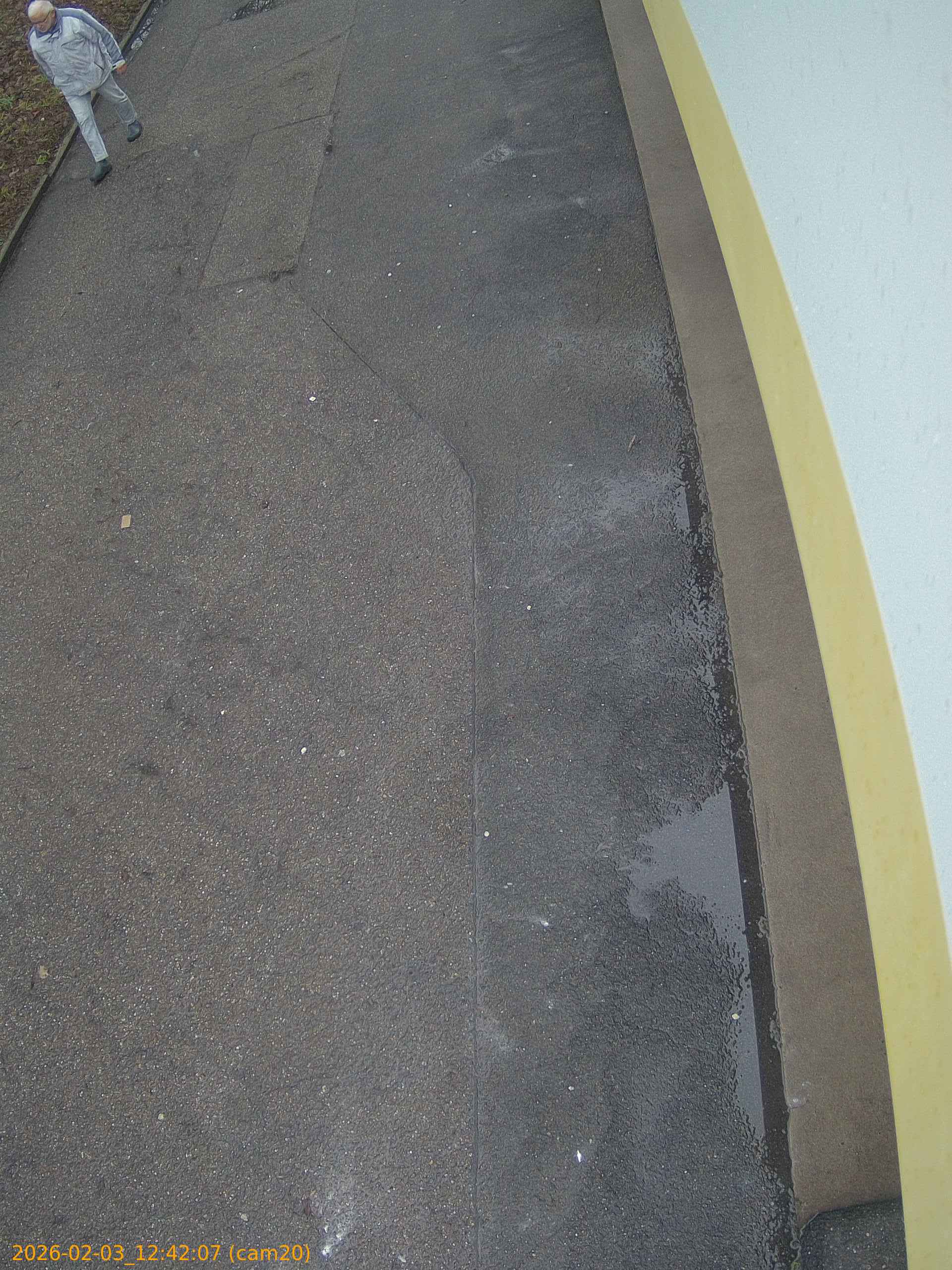 thumbnail_20260203124207