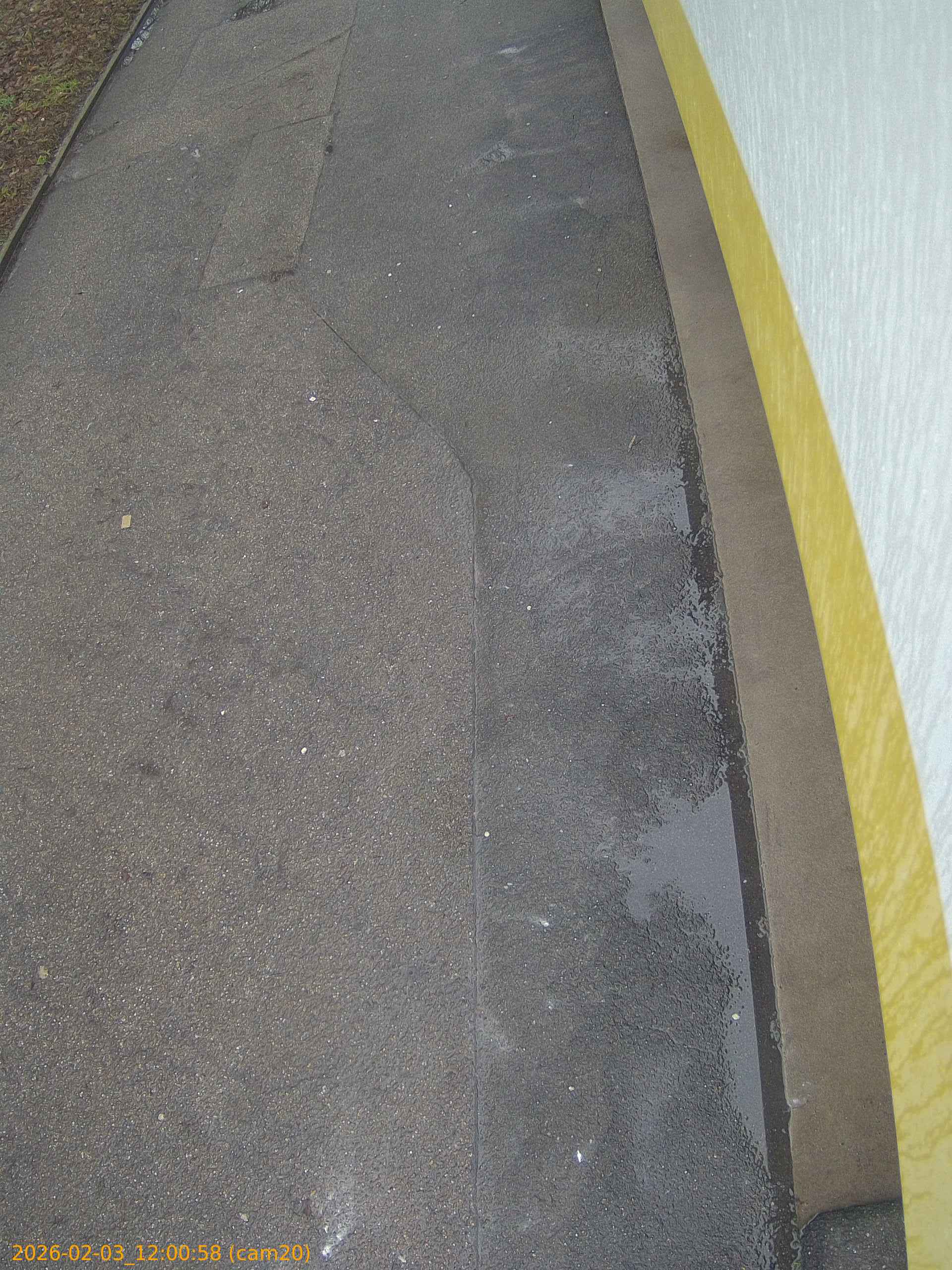 thumbnail_202602031200