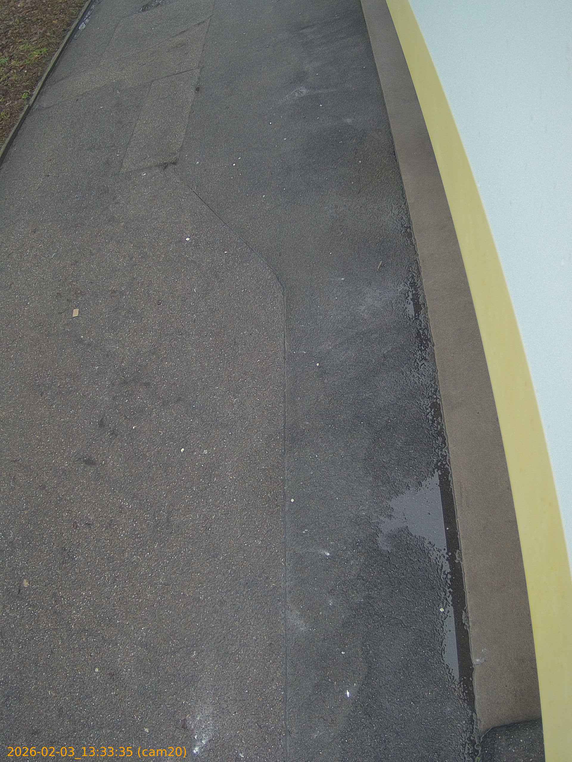 thumbnail_20260203133335