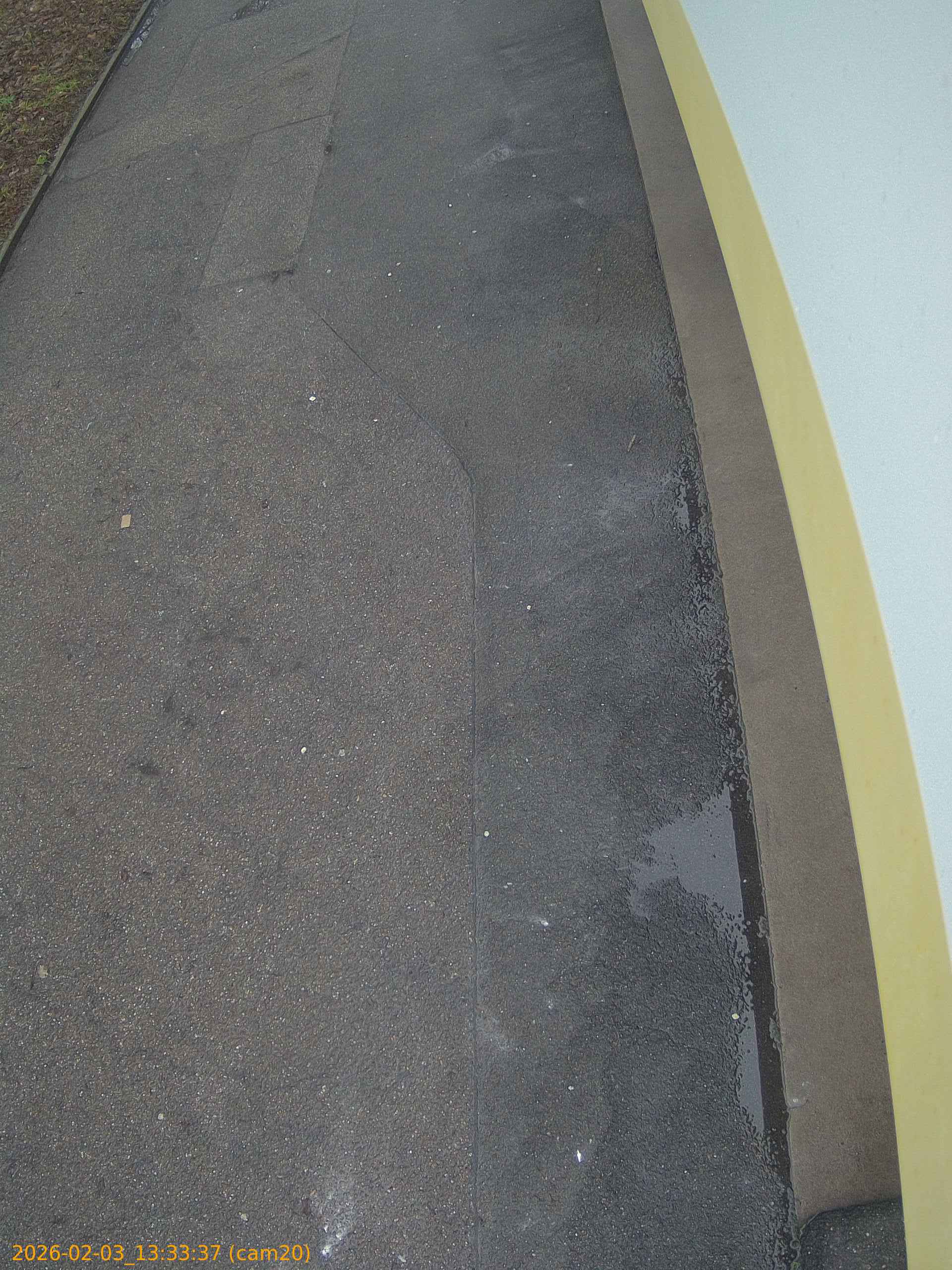 thumbnail_20260203133337