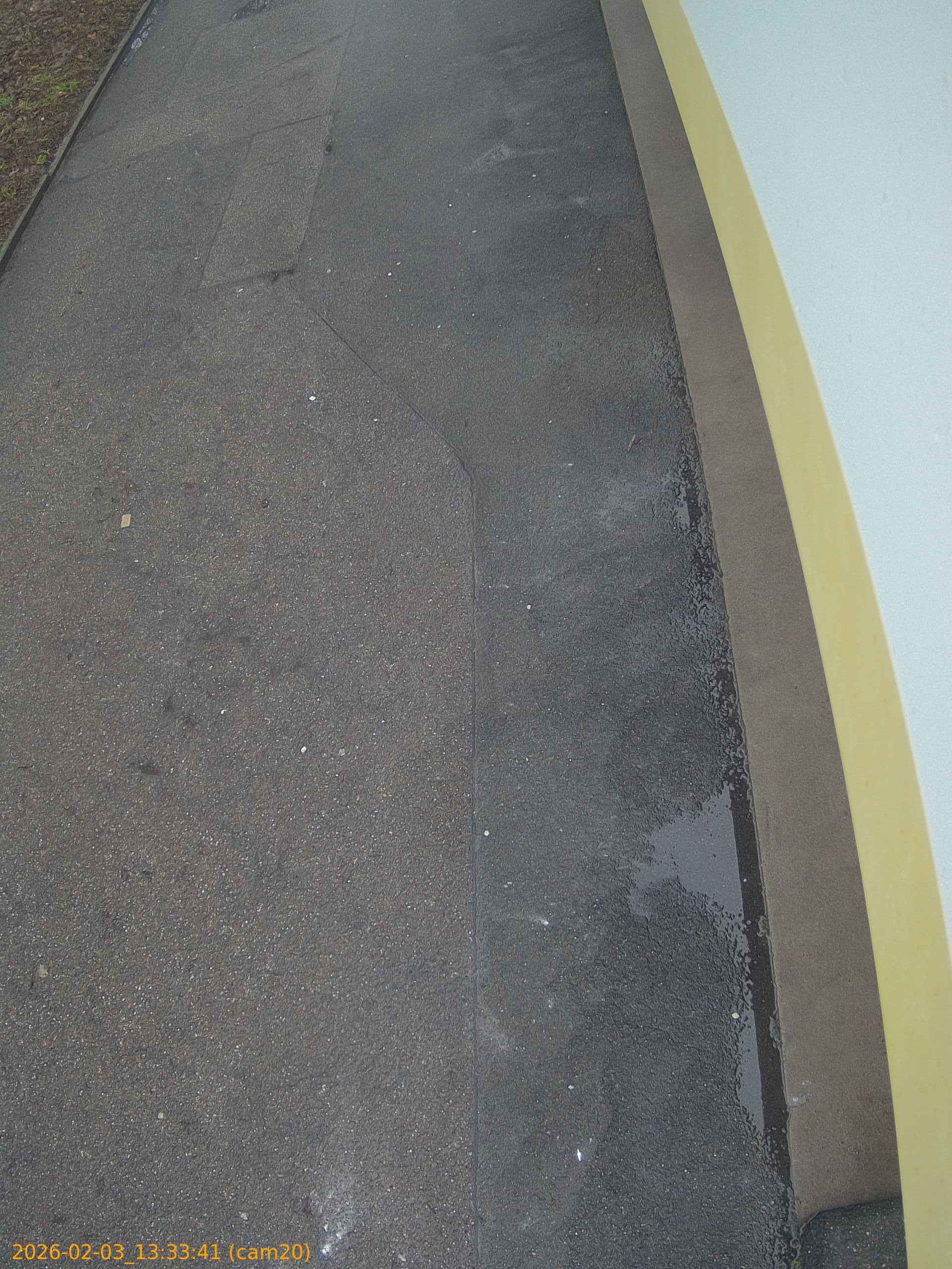 thumbnail_20260203133341