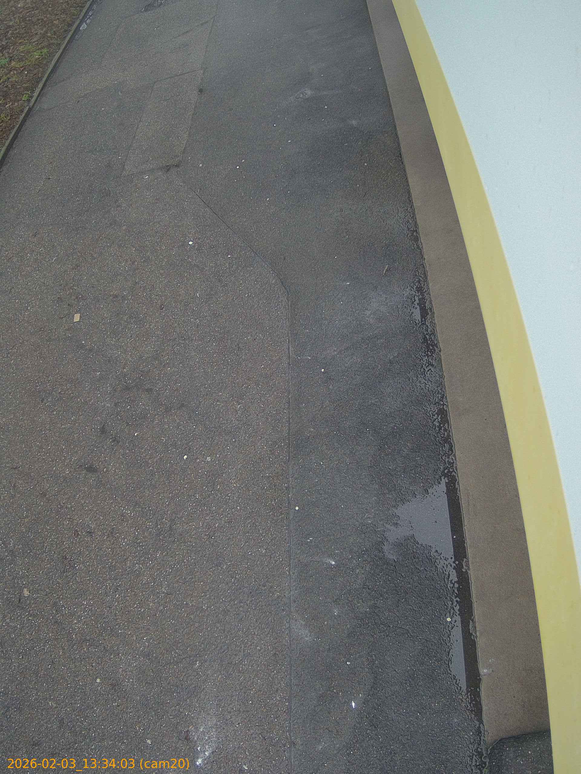 thumbnail_20260203133403