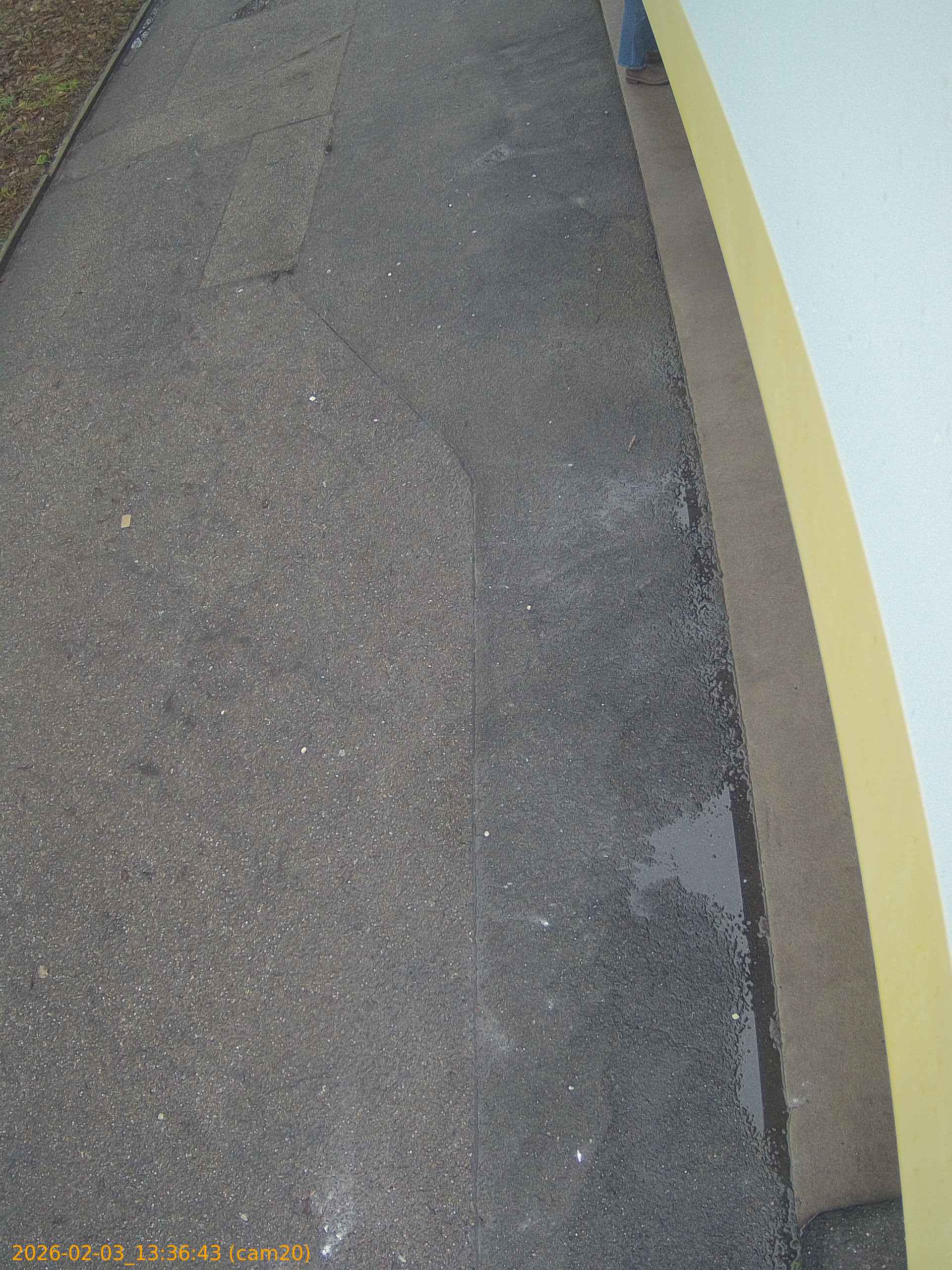 thumbnail_20260203133643