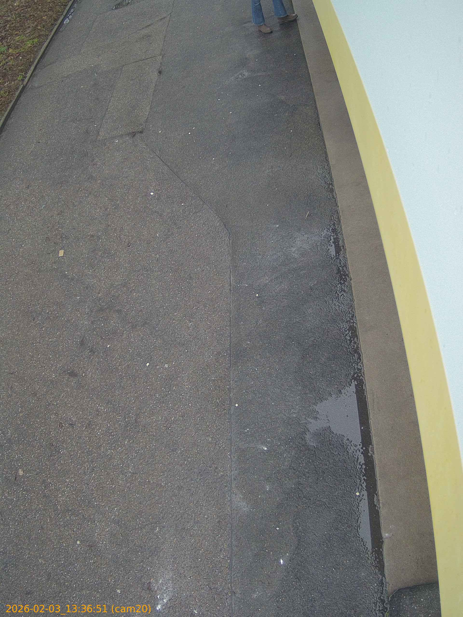 thumbnail_20260203133651