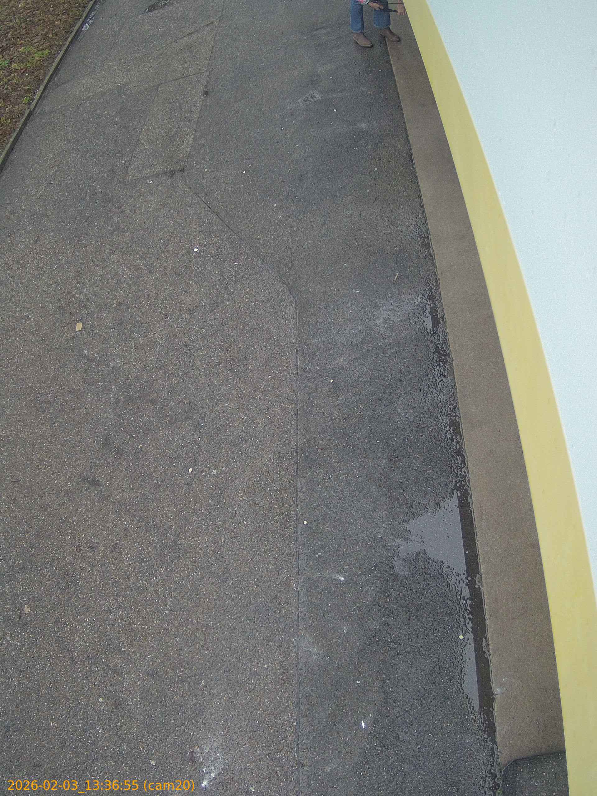 thumbnail_20260203133655