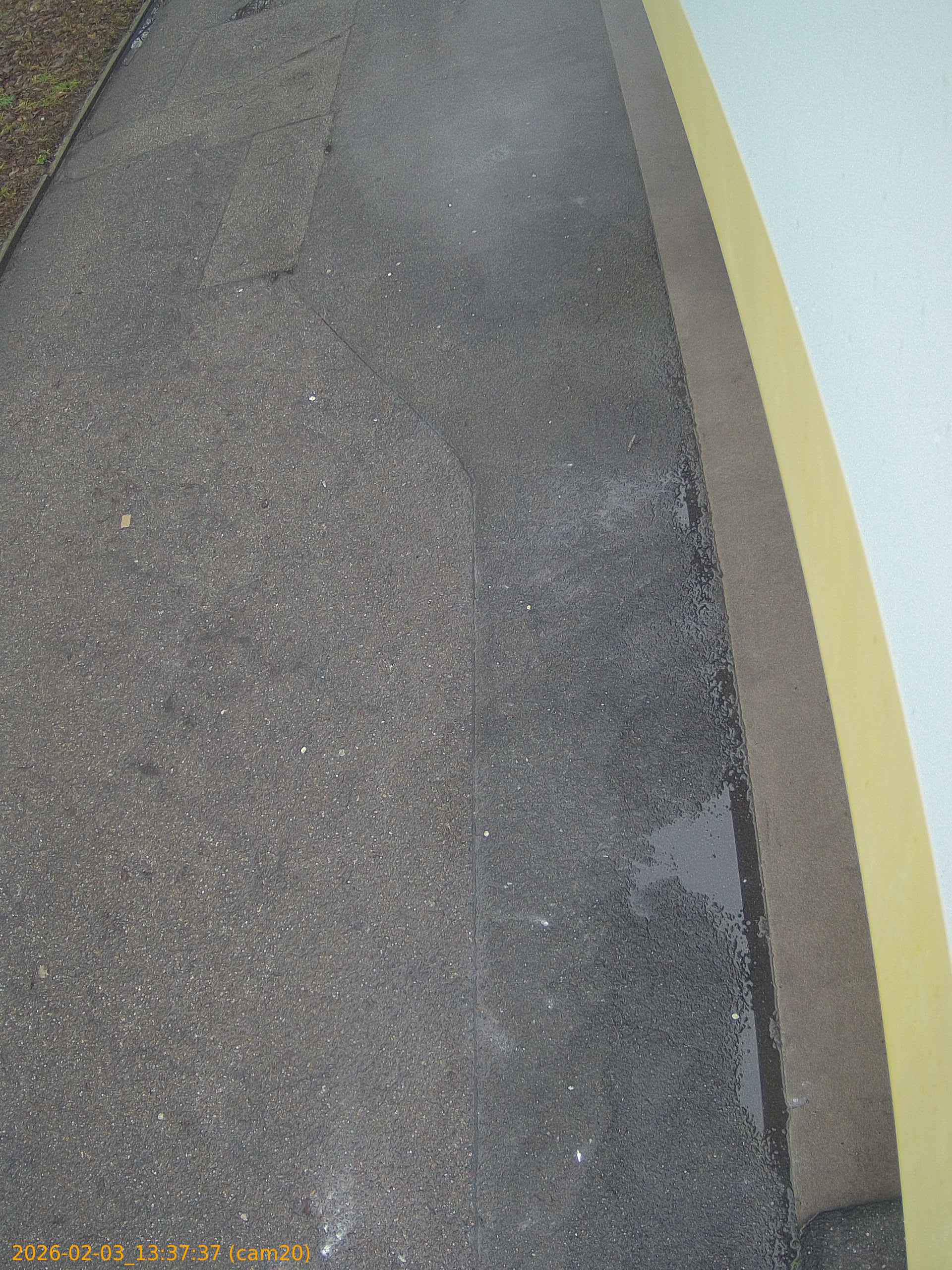 thumbnail_20260203133737