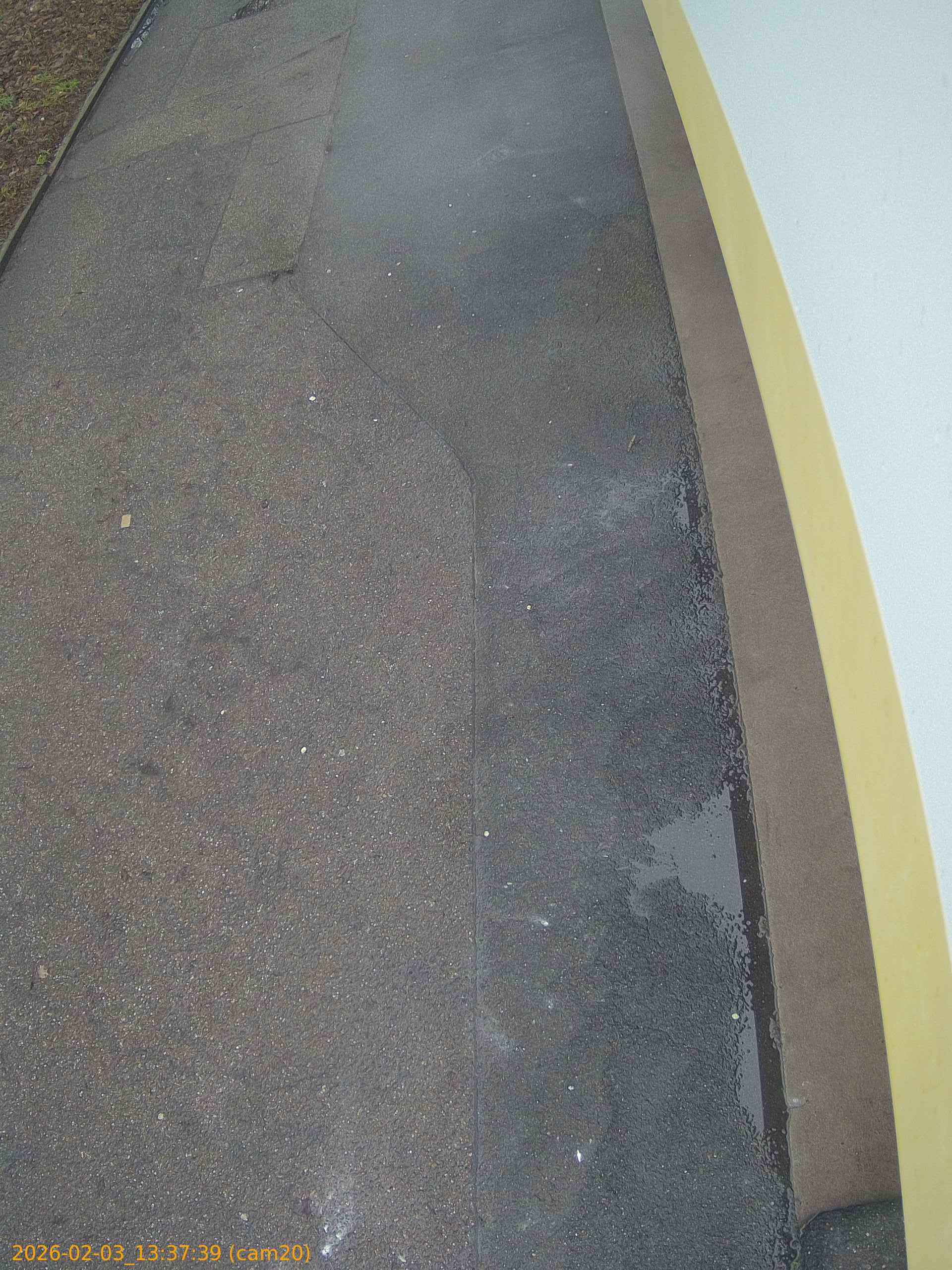 thumbnail_20260203133739