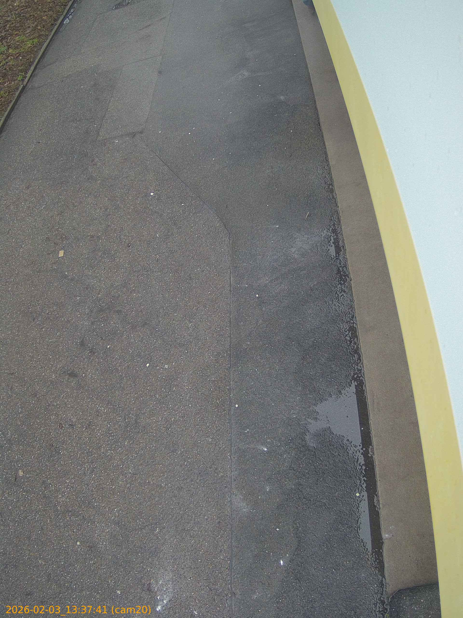 thumbnail_20260203133741