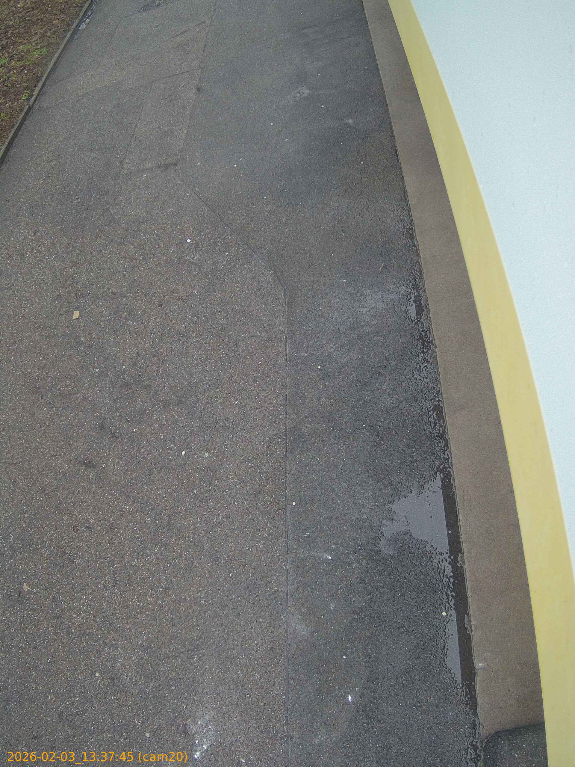 thumbnail_20260203133745