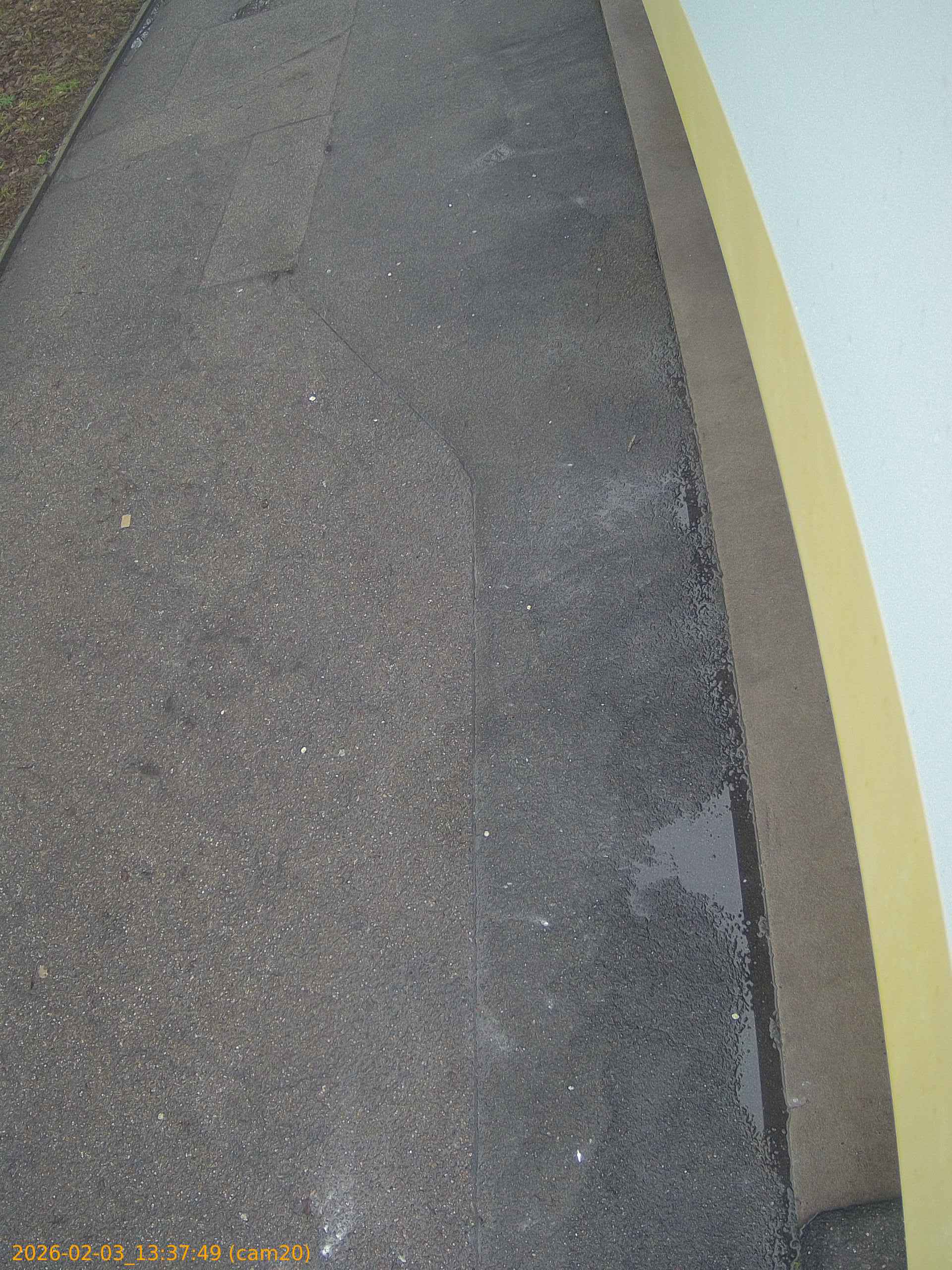 thumbnail_20260203133749