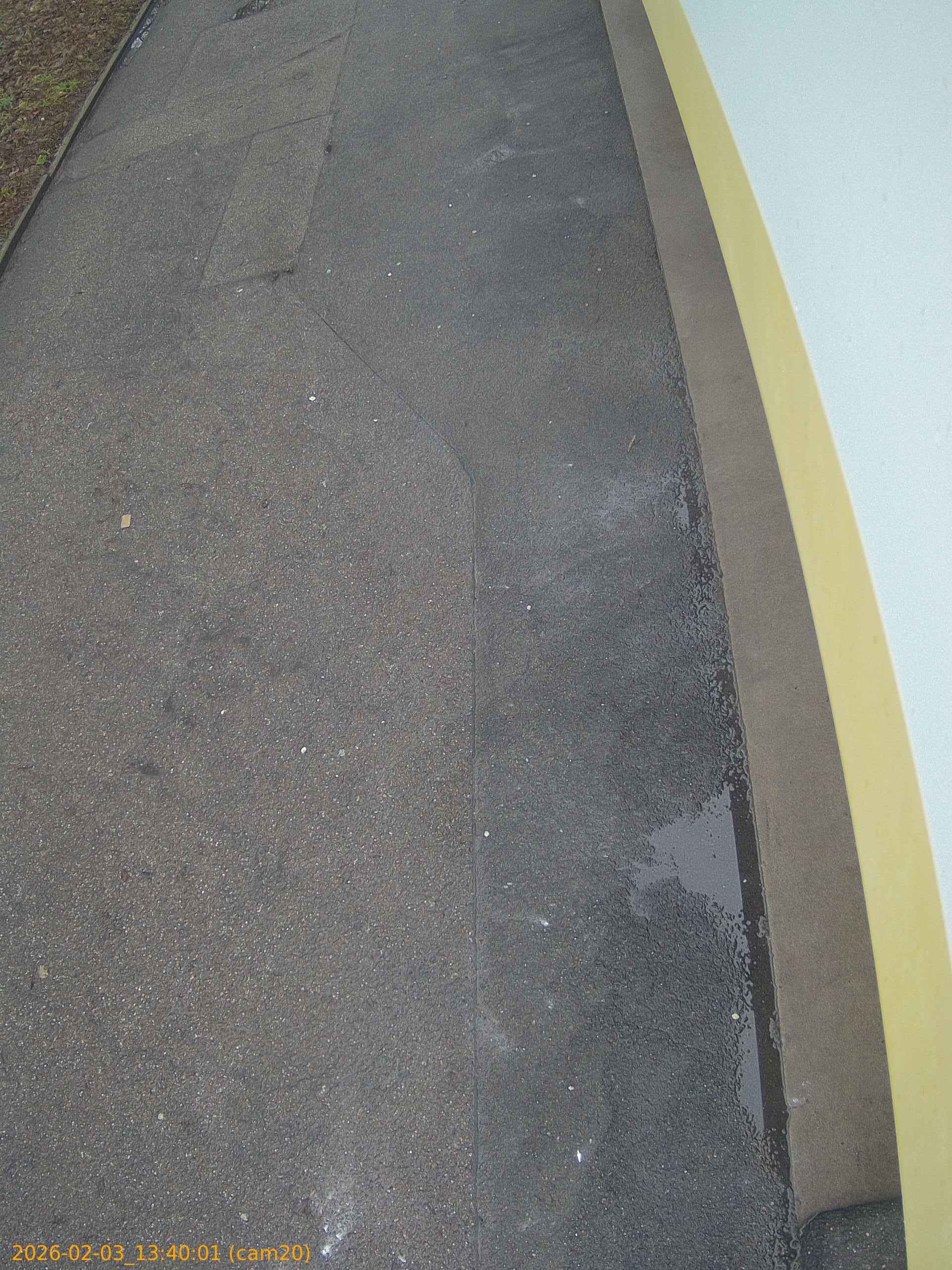 thumbnail_20260203134001