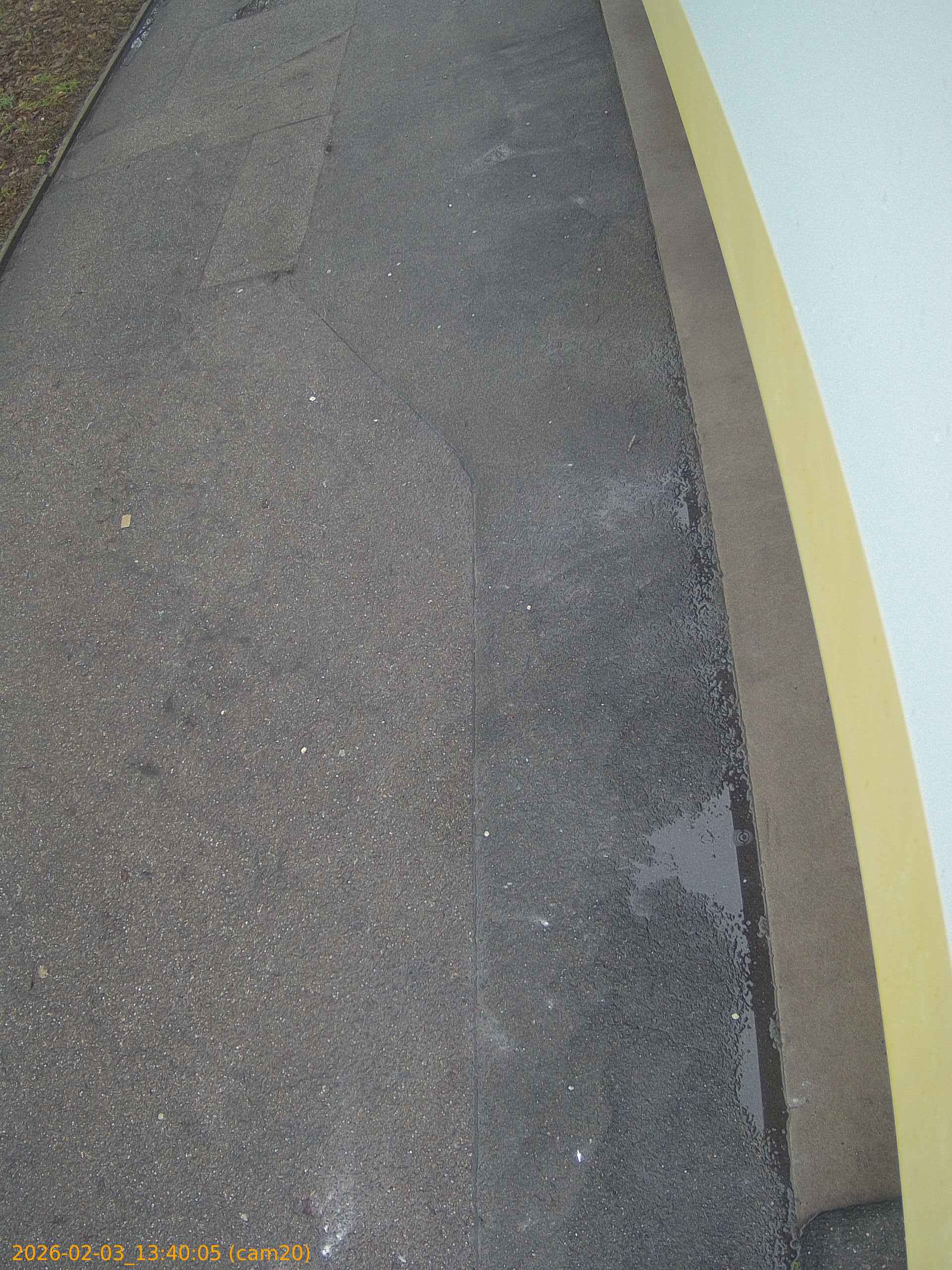 thumbnail_20260203134005