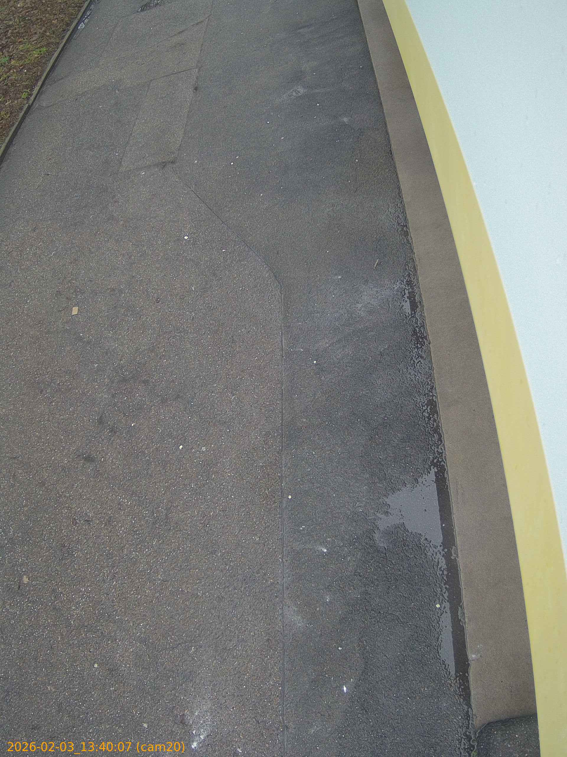 thumbnail_20260203134007