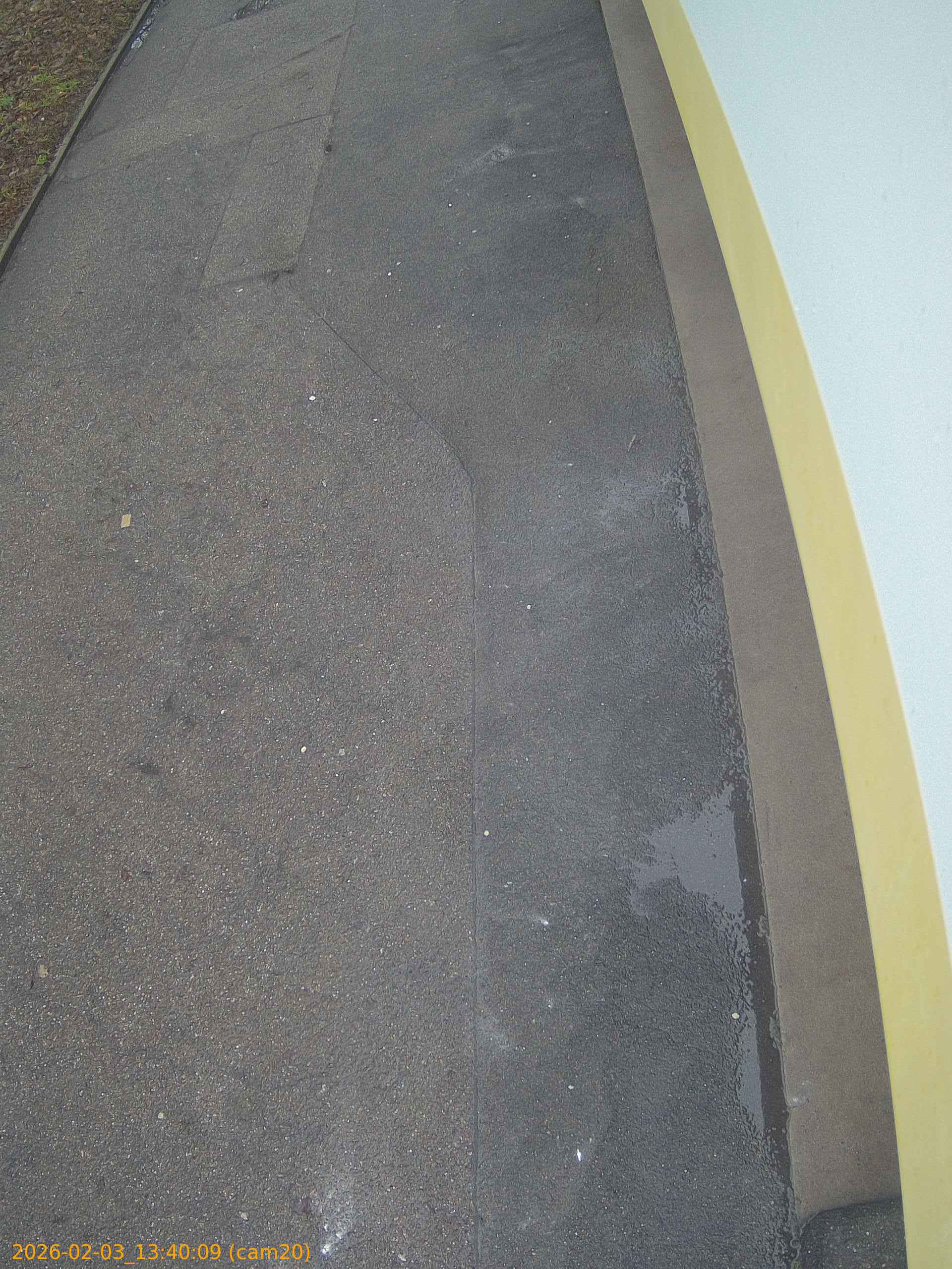 thumbnail_20260203134009