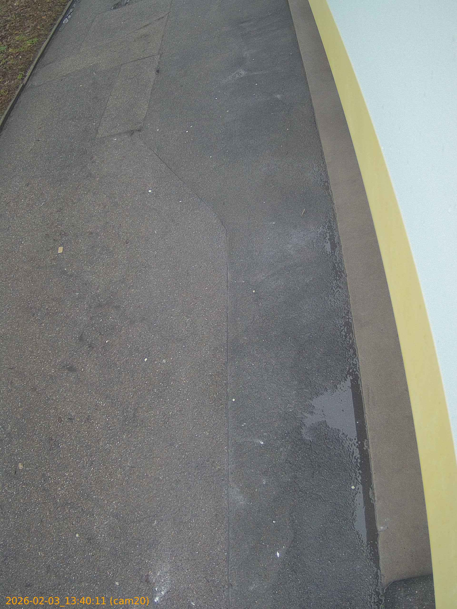 thumbnail_20260203134011