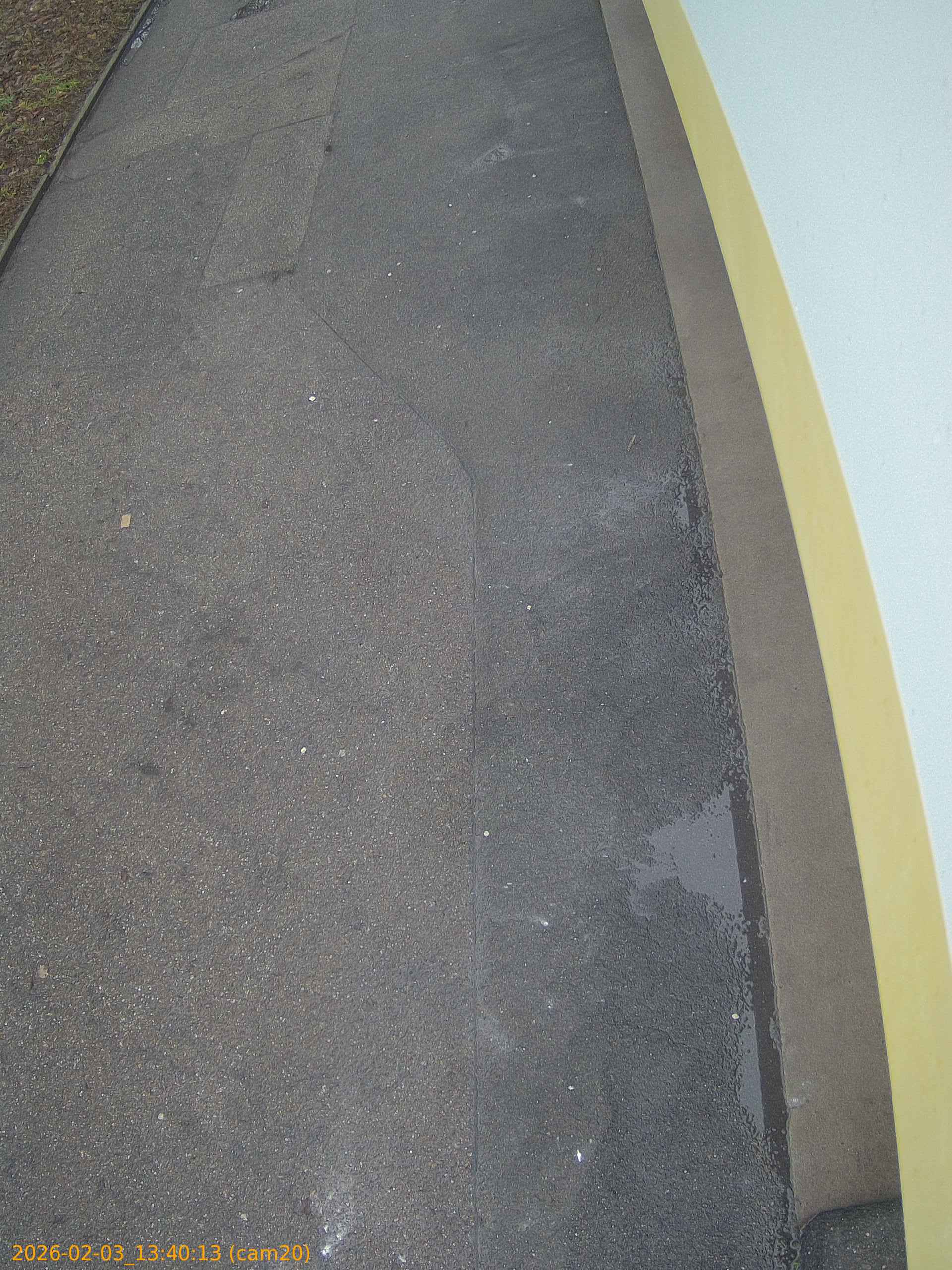 thumbnail_20260203134013