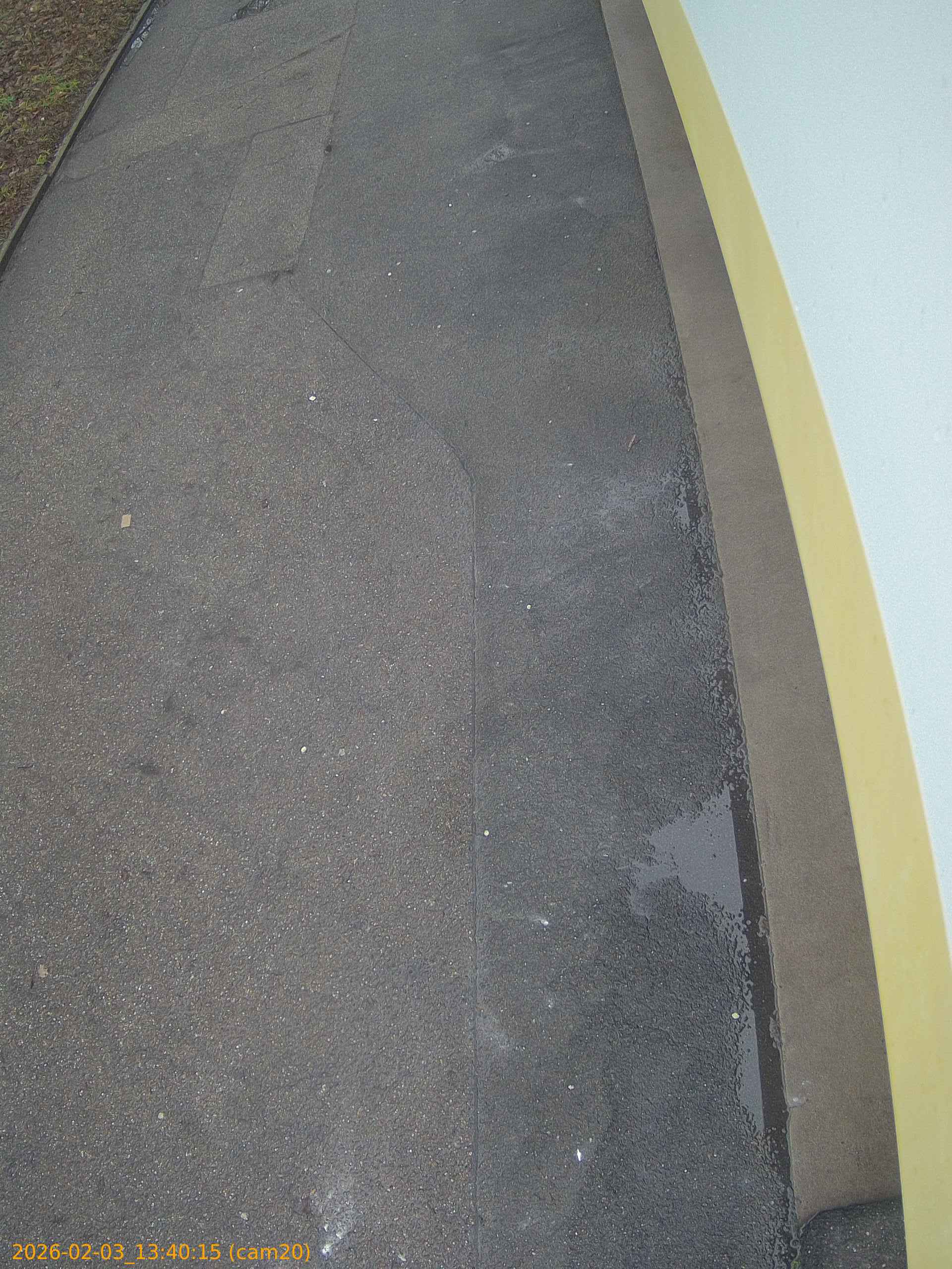 thumbnail_20260203134015