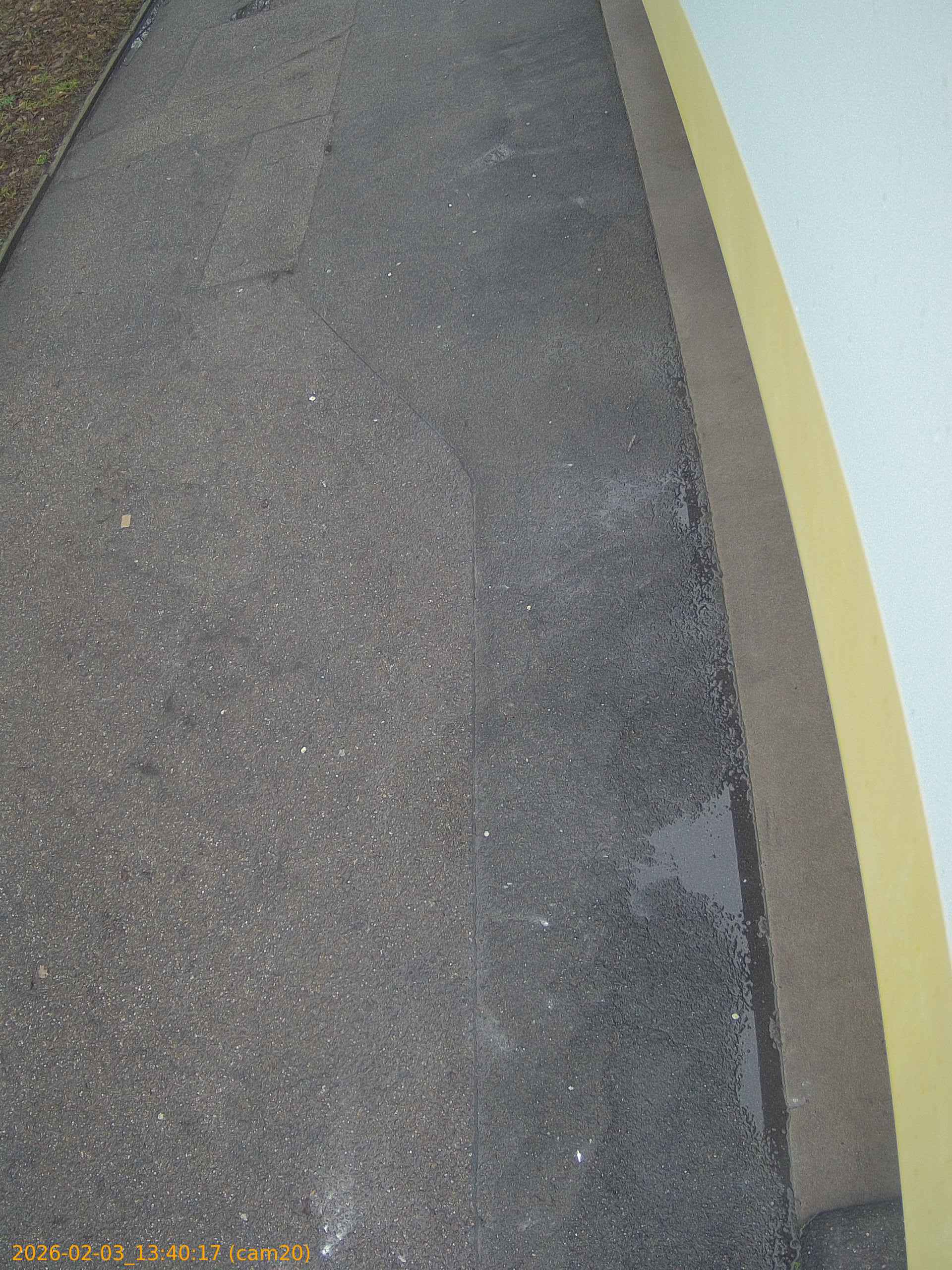 thumbnail_20260203134017