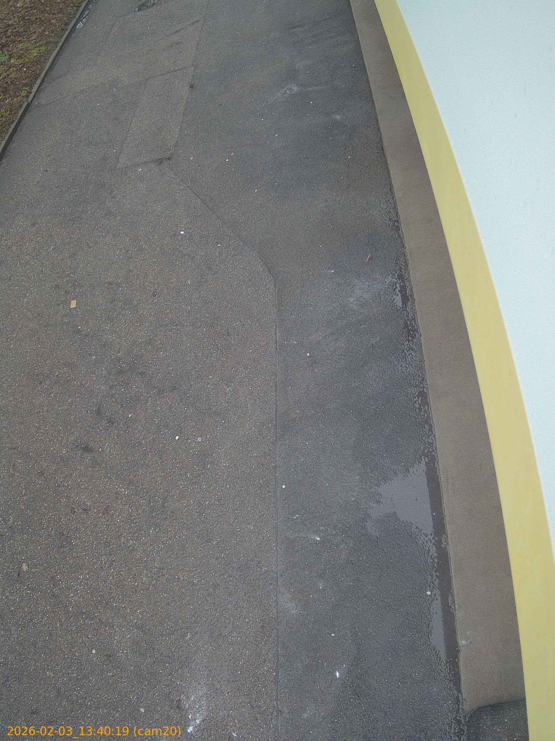 thumbnail_20260203134019