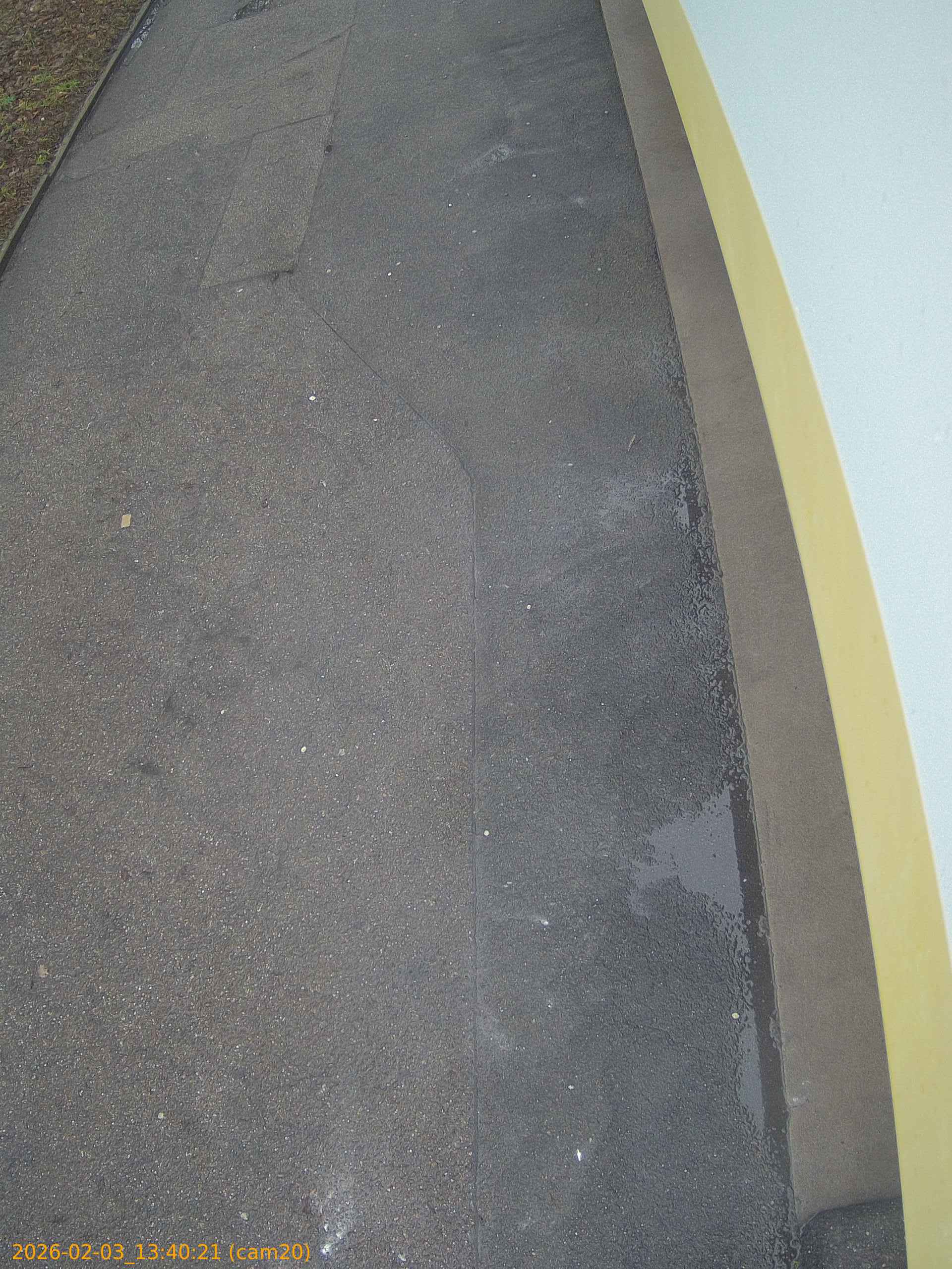 thumbnail_20260203134021