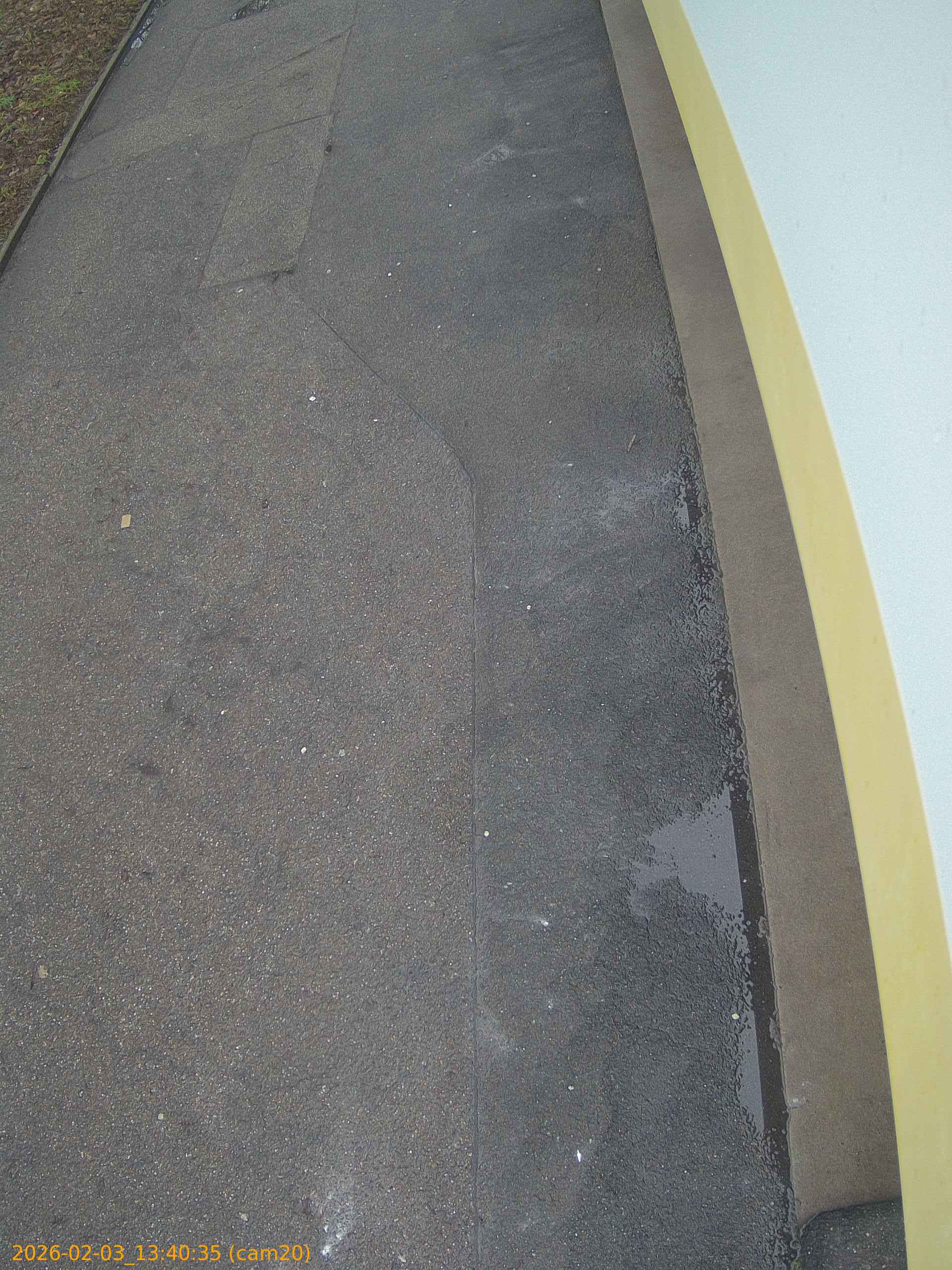 thumbnail_20260203134035