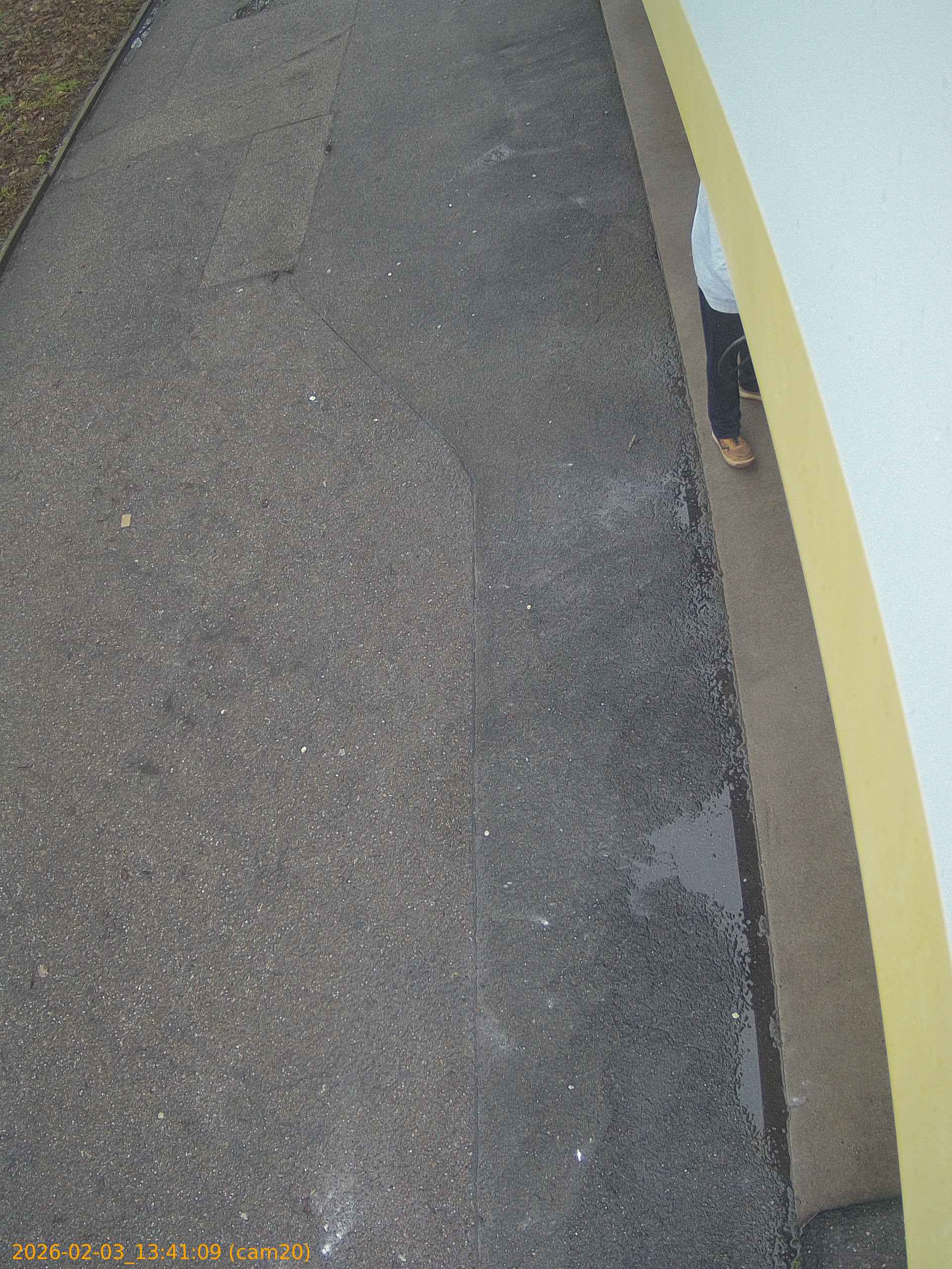 thumbnail_20260203134109