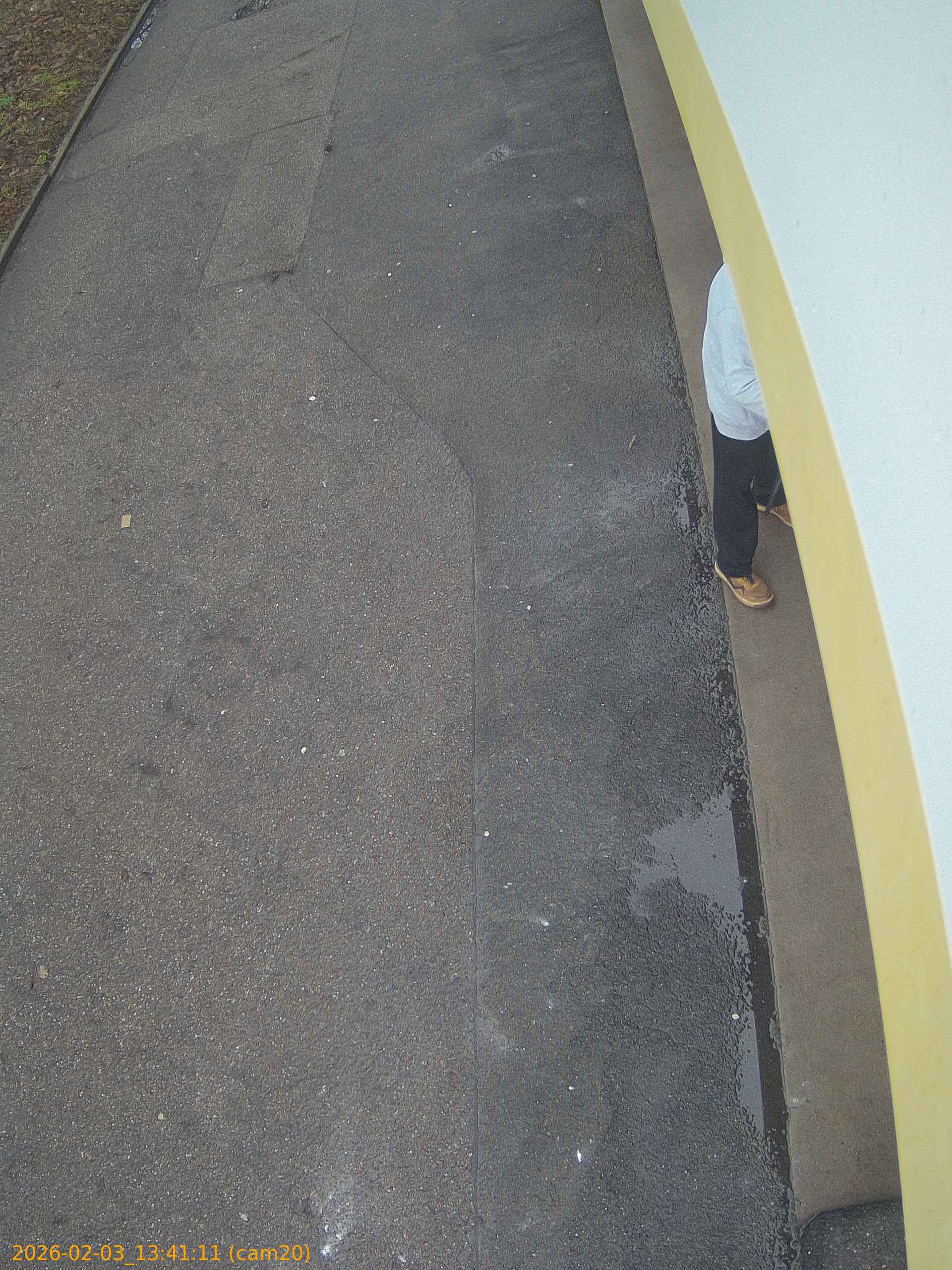 thumbnail_20260203134111