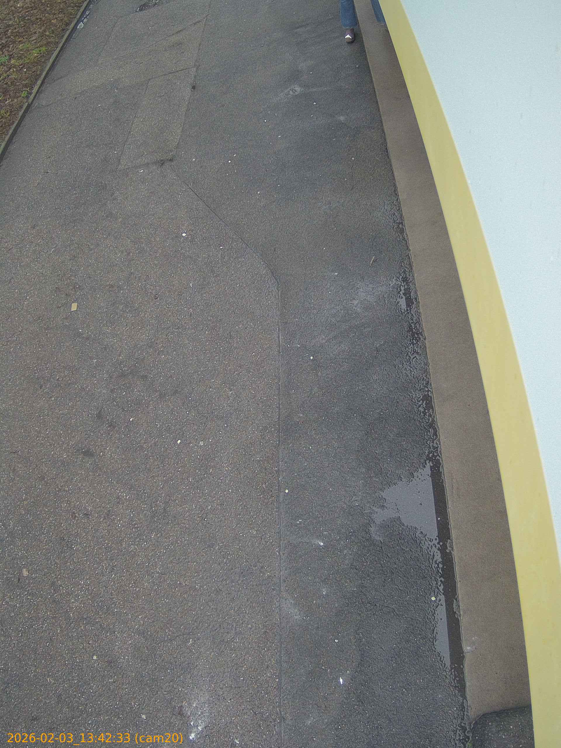 thumbnail_20260203134233