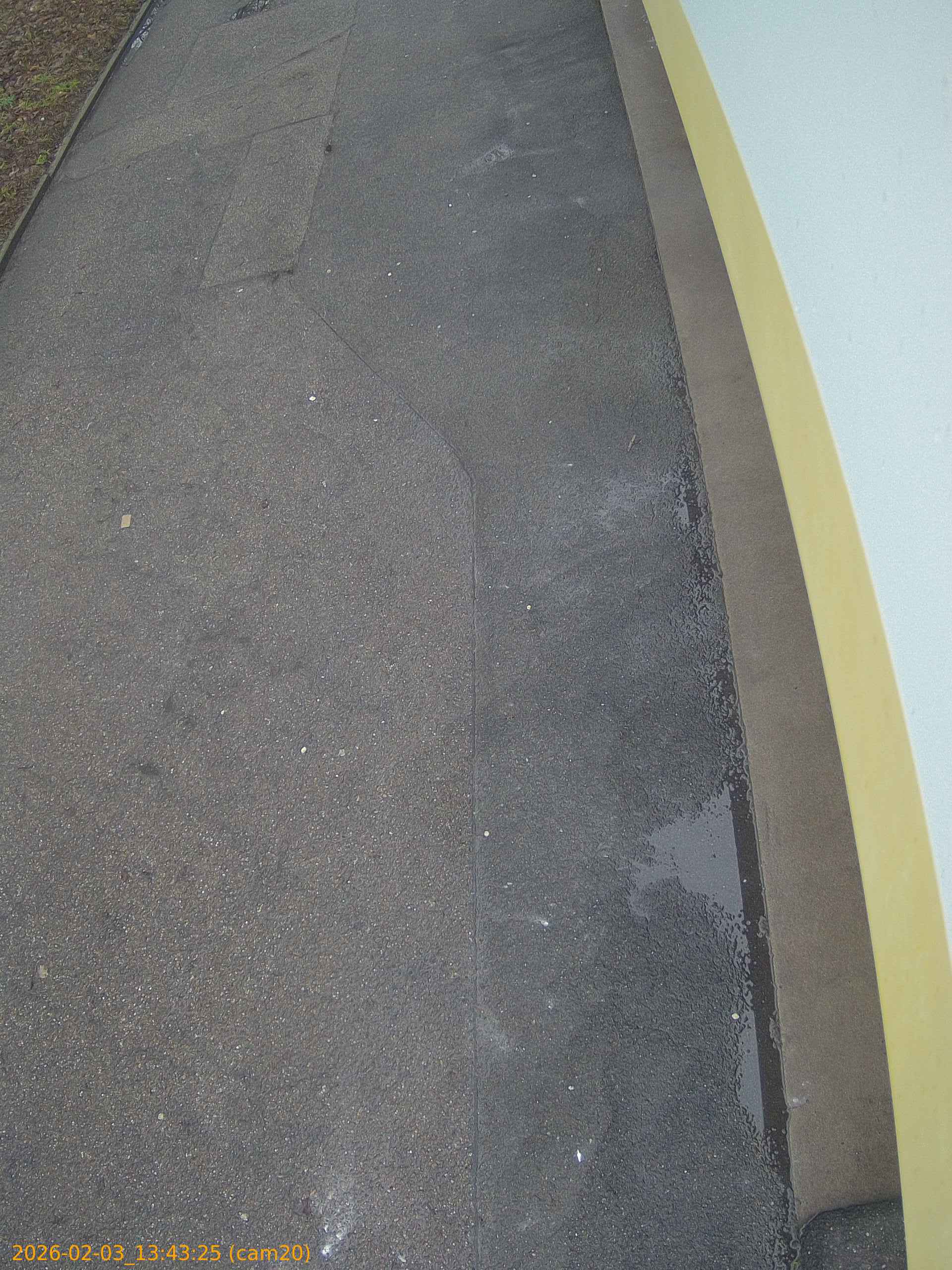 thumbnail_20260203134325