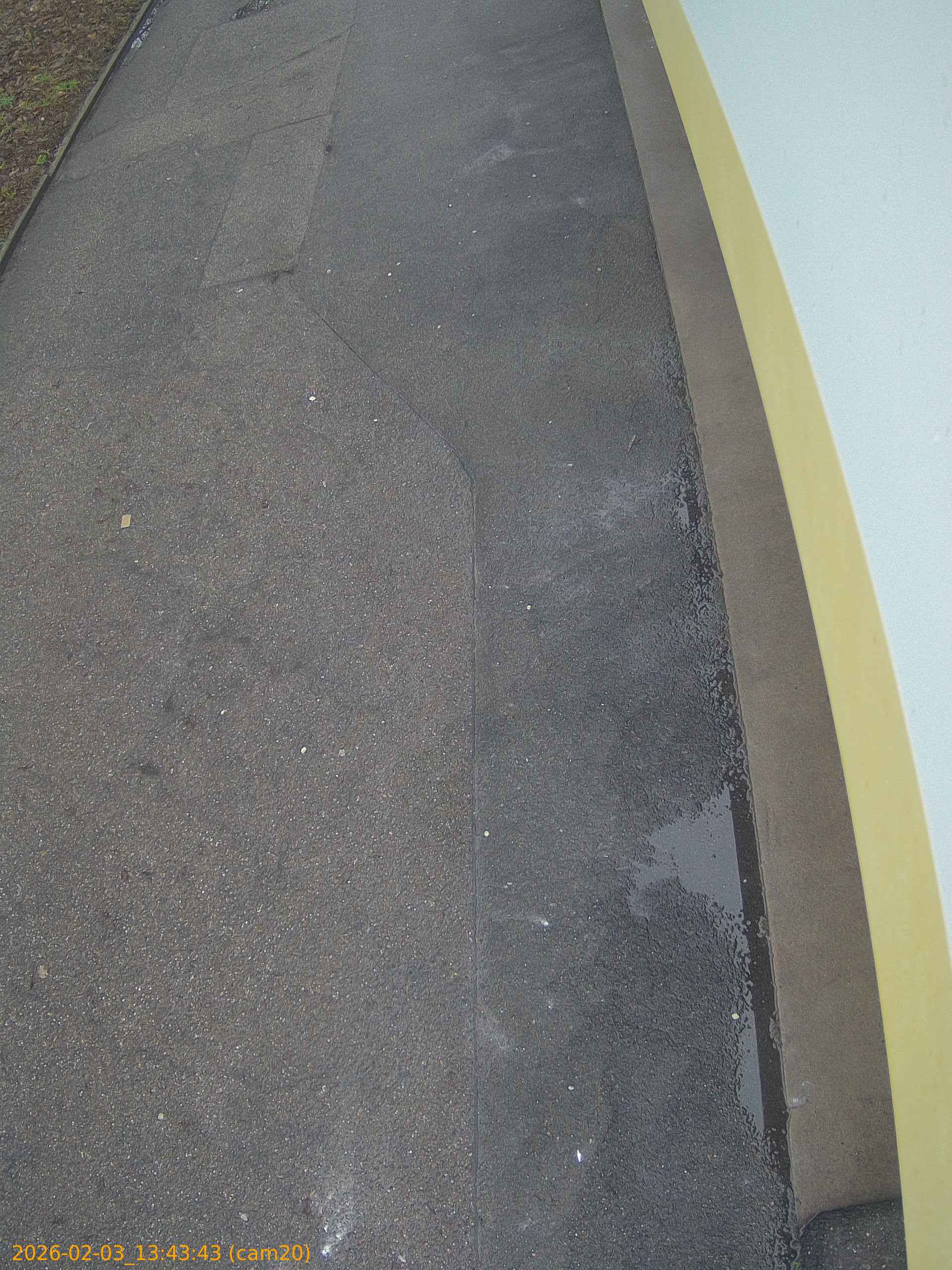 thumbnail_20260203134343