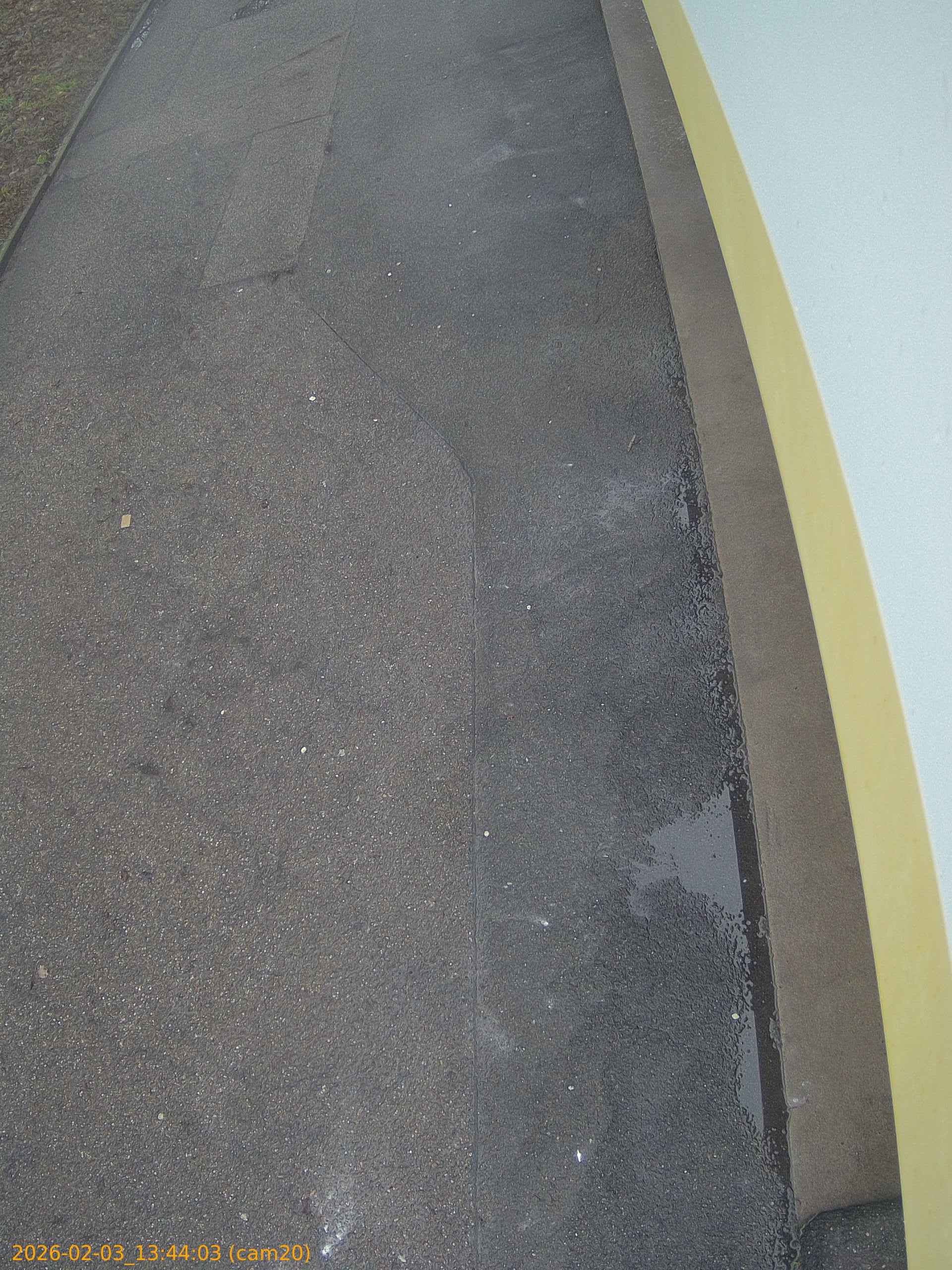 thumbnail_20260203134403