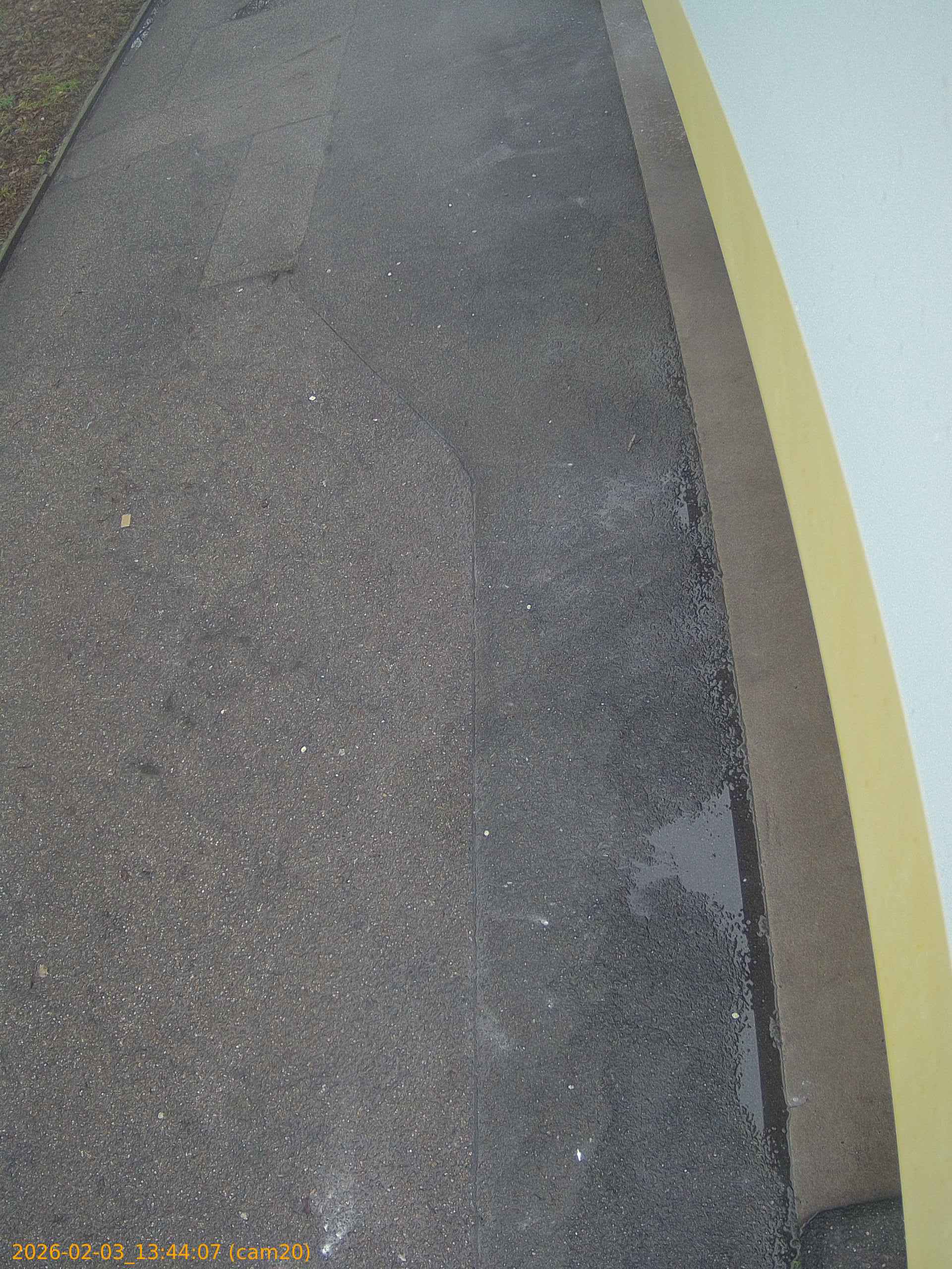 thumbnail_20260203134407