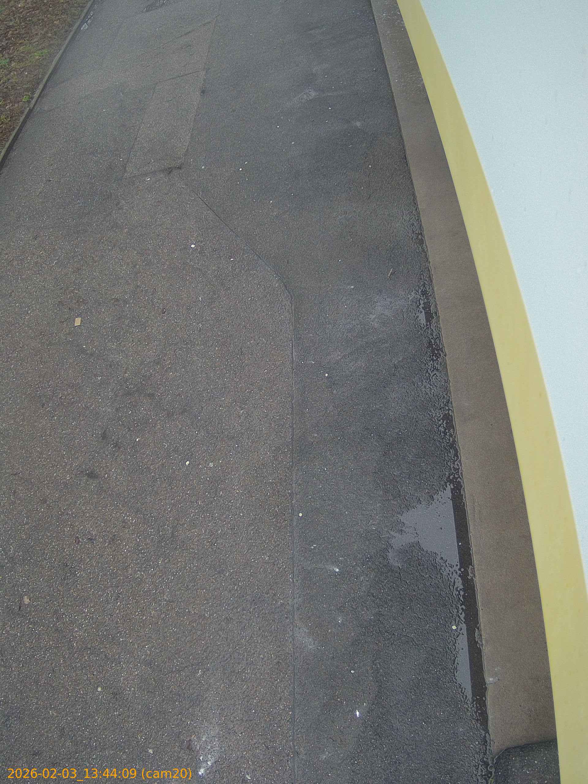 thumbnail_20260203134409