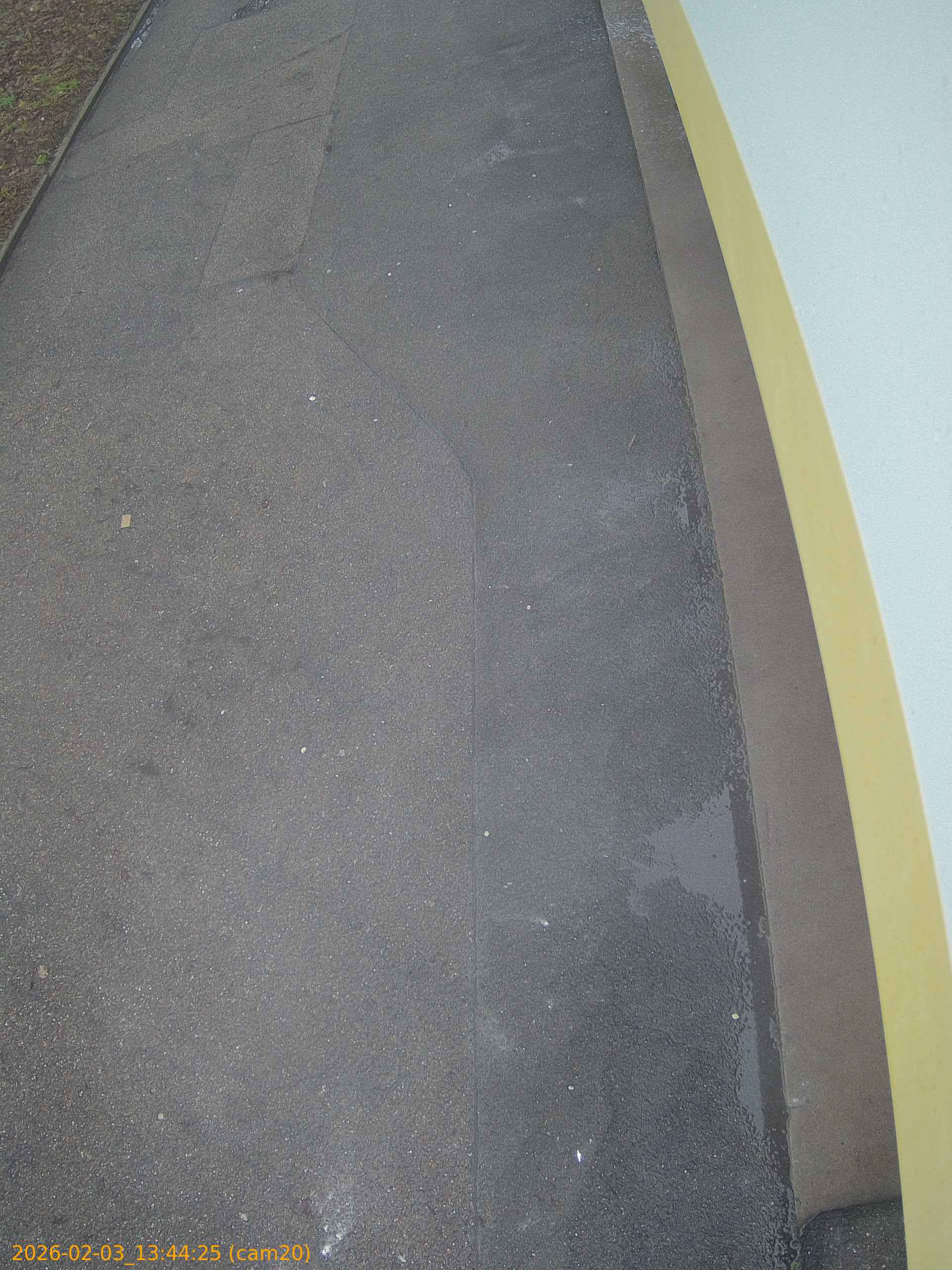 thumbnail_20260203134425