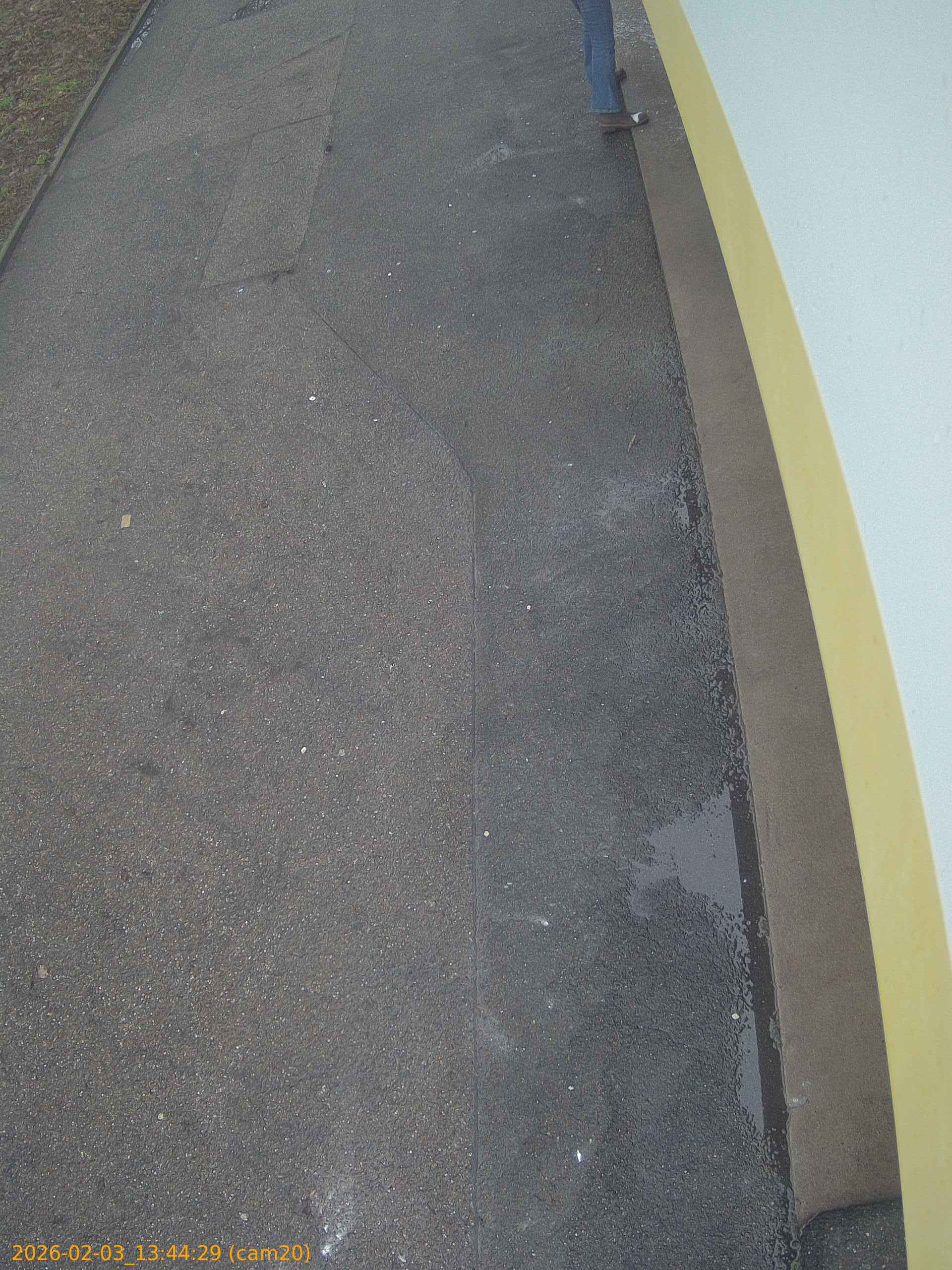 thumbnail_20260203134429