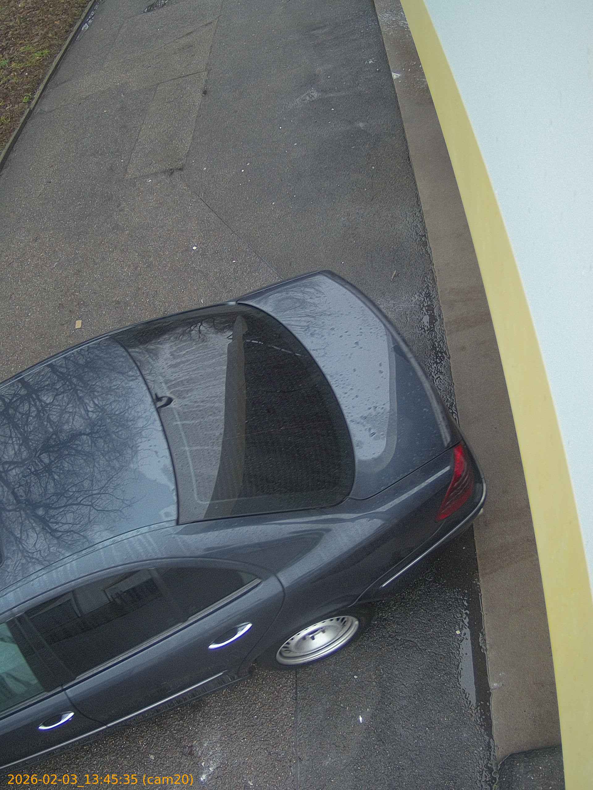 thumbnail_20260203134535