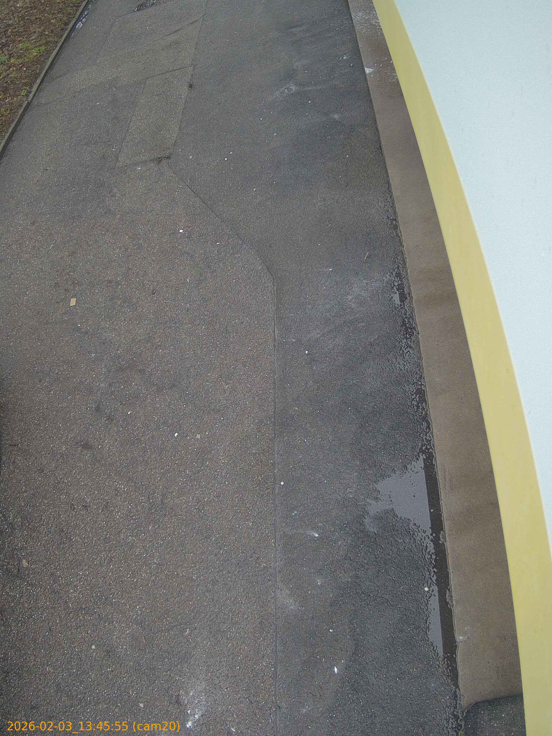 thumbnail_20260203134555