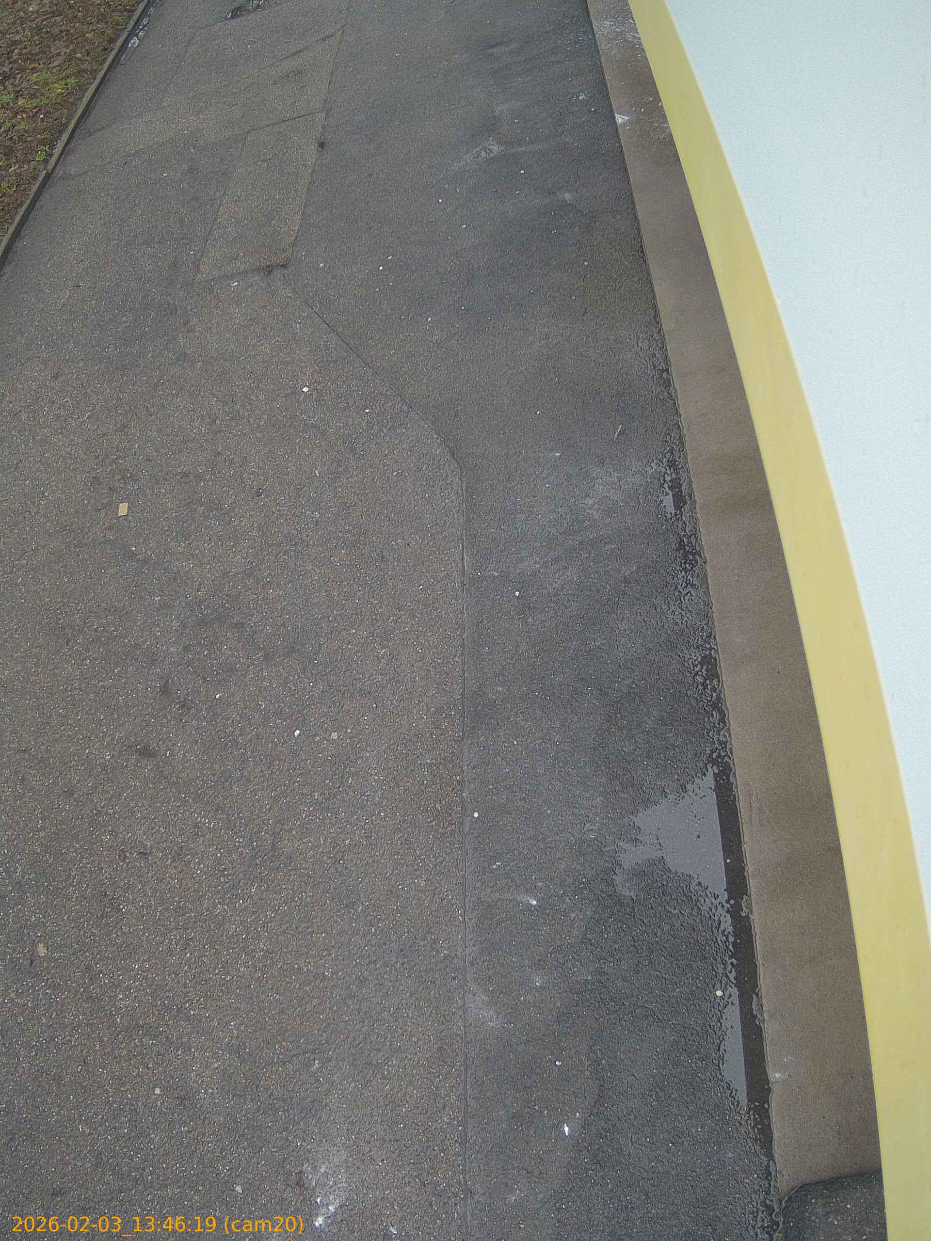 thumbnail_20260203134619