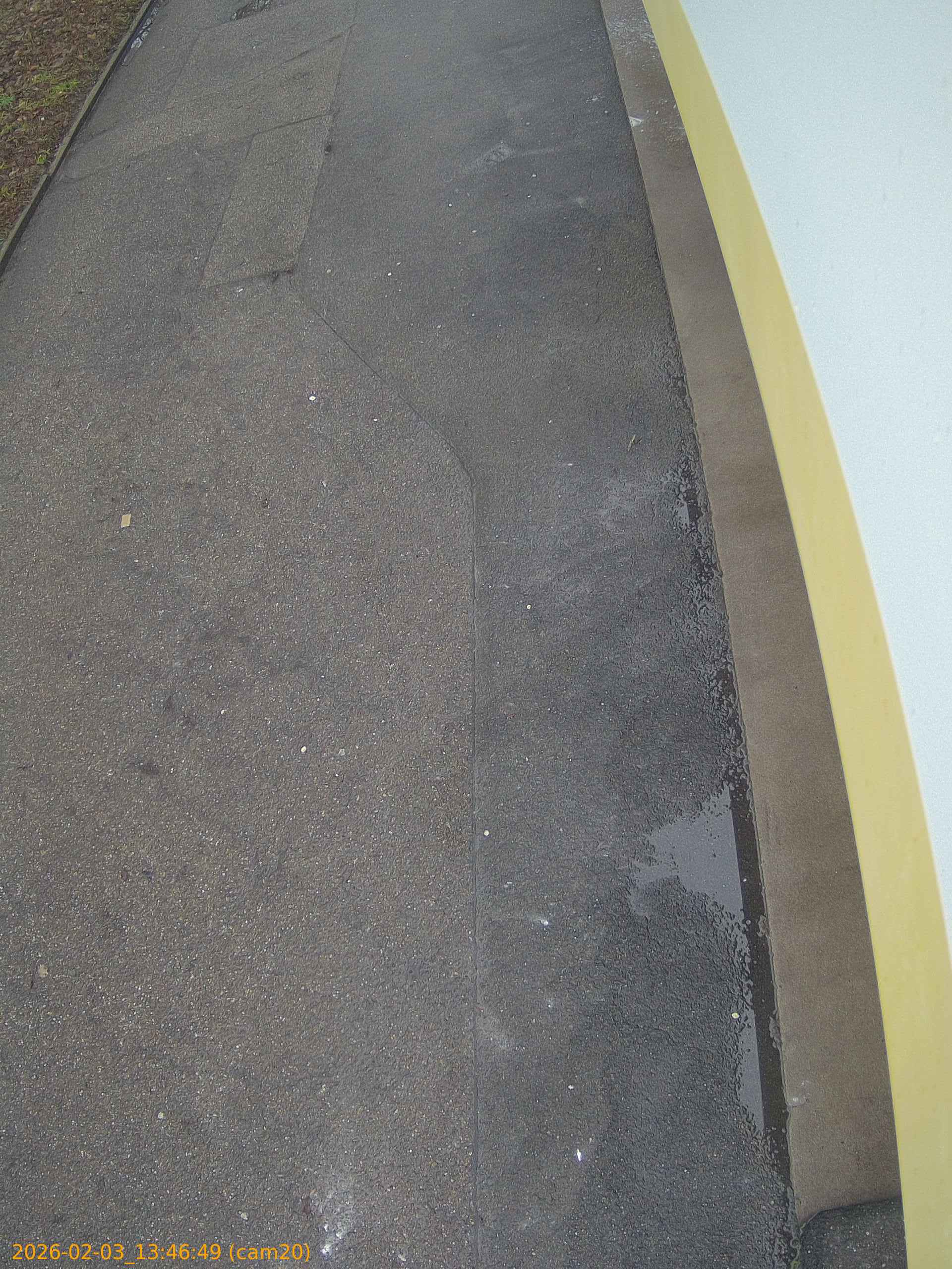 thumbnail_20260203134649