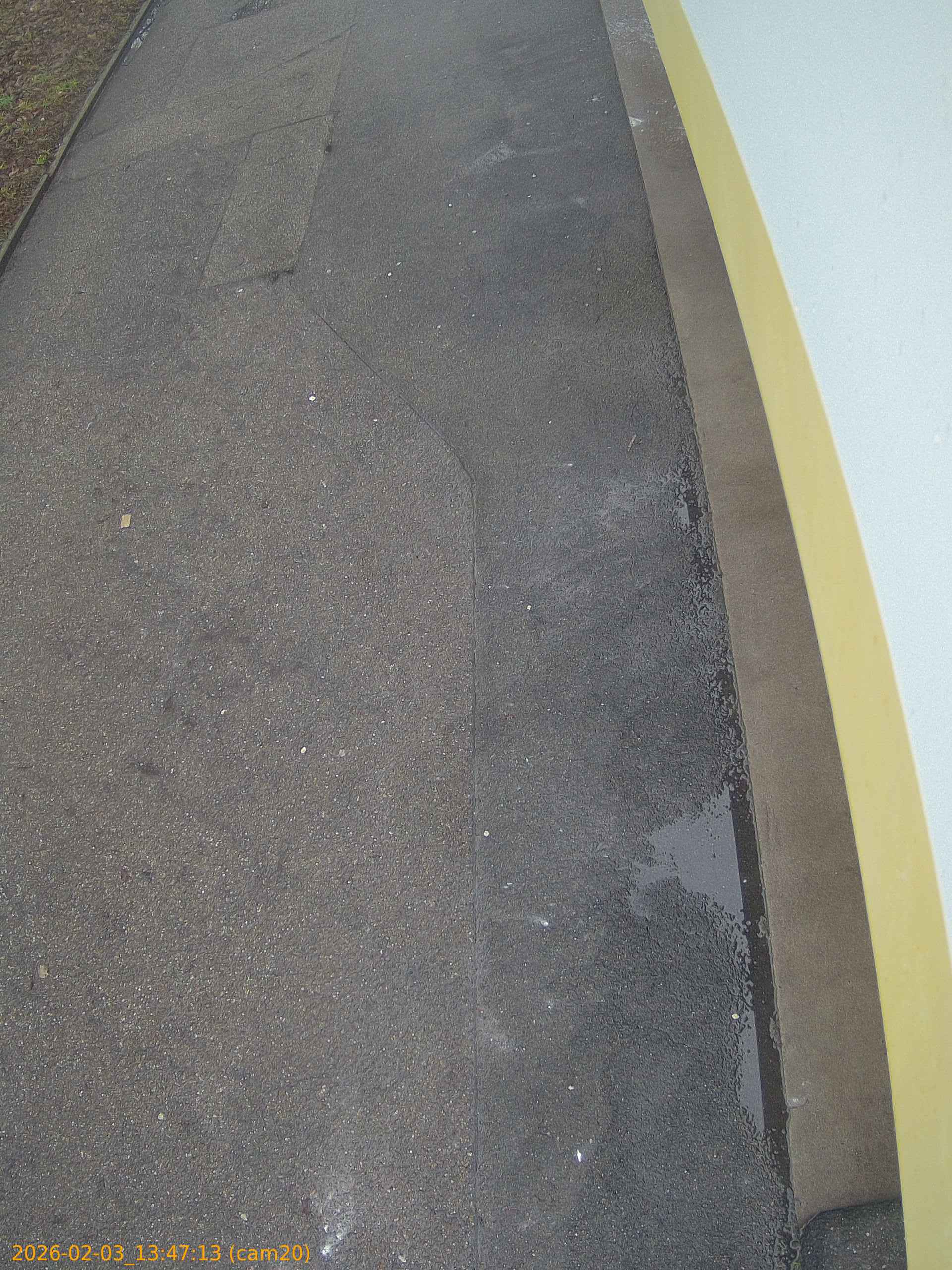 thumbnail_20260203134713