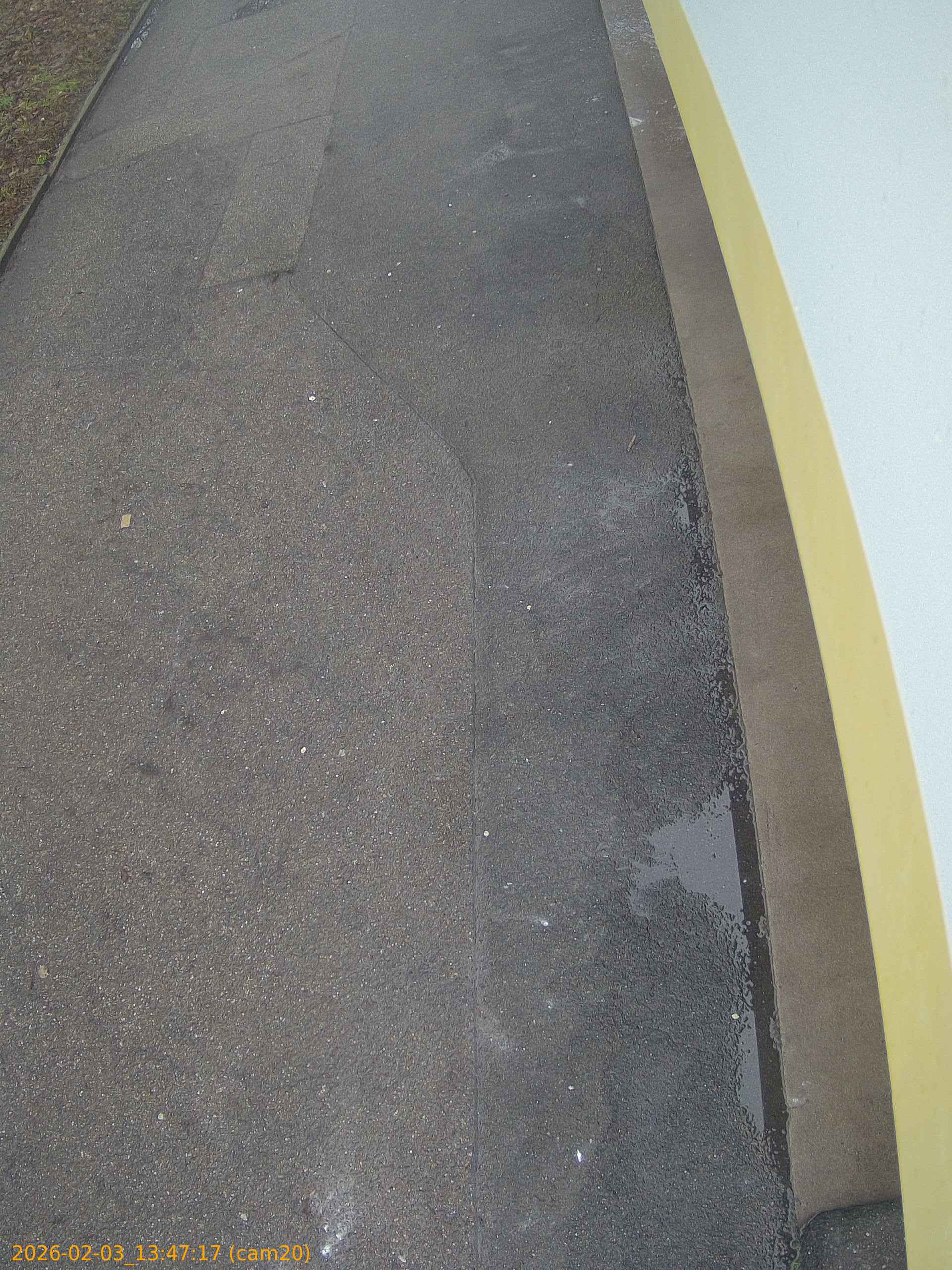 thumbnail_20260203134717